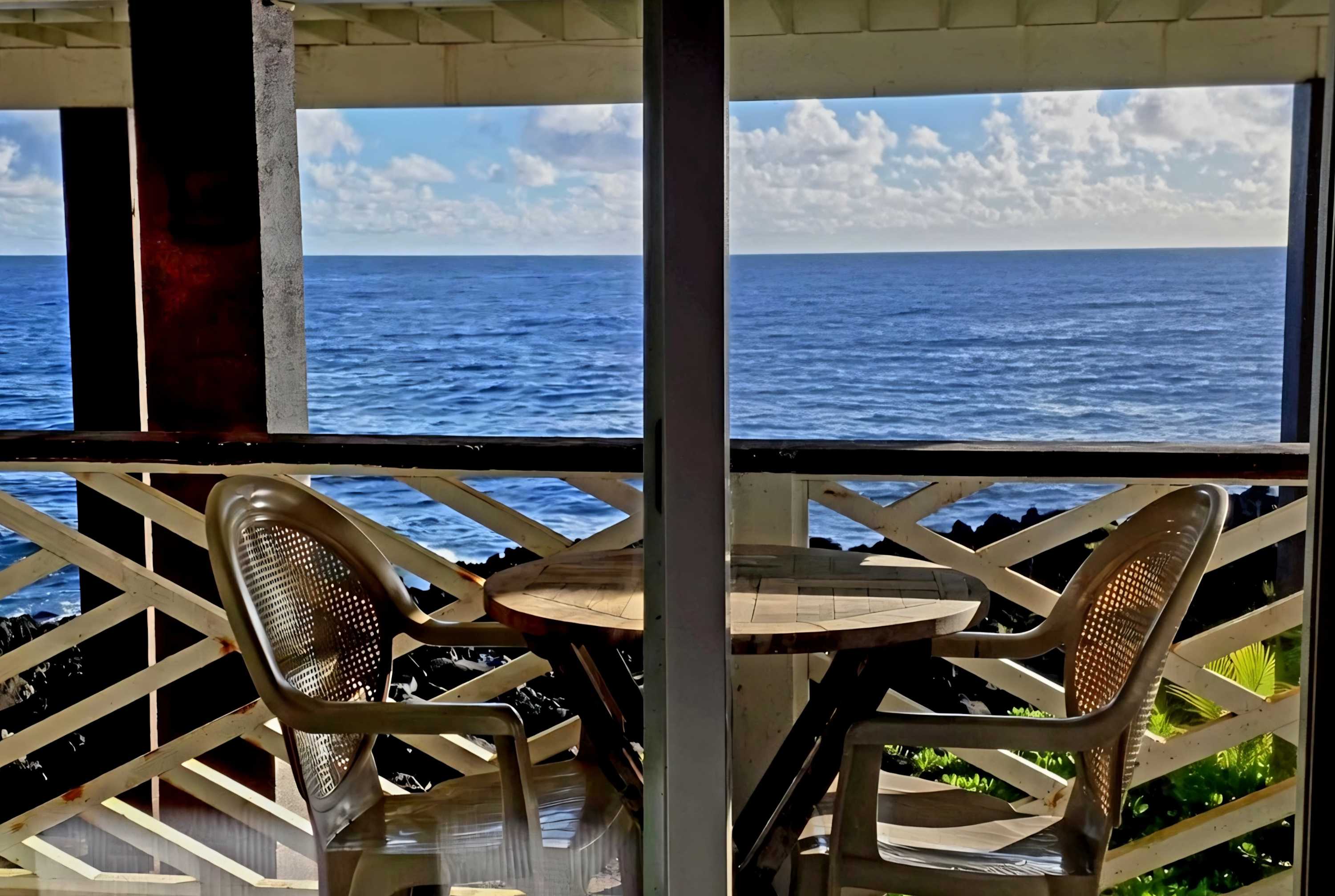 Oceanfront studio see whales and dolphins