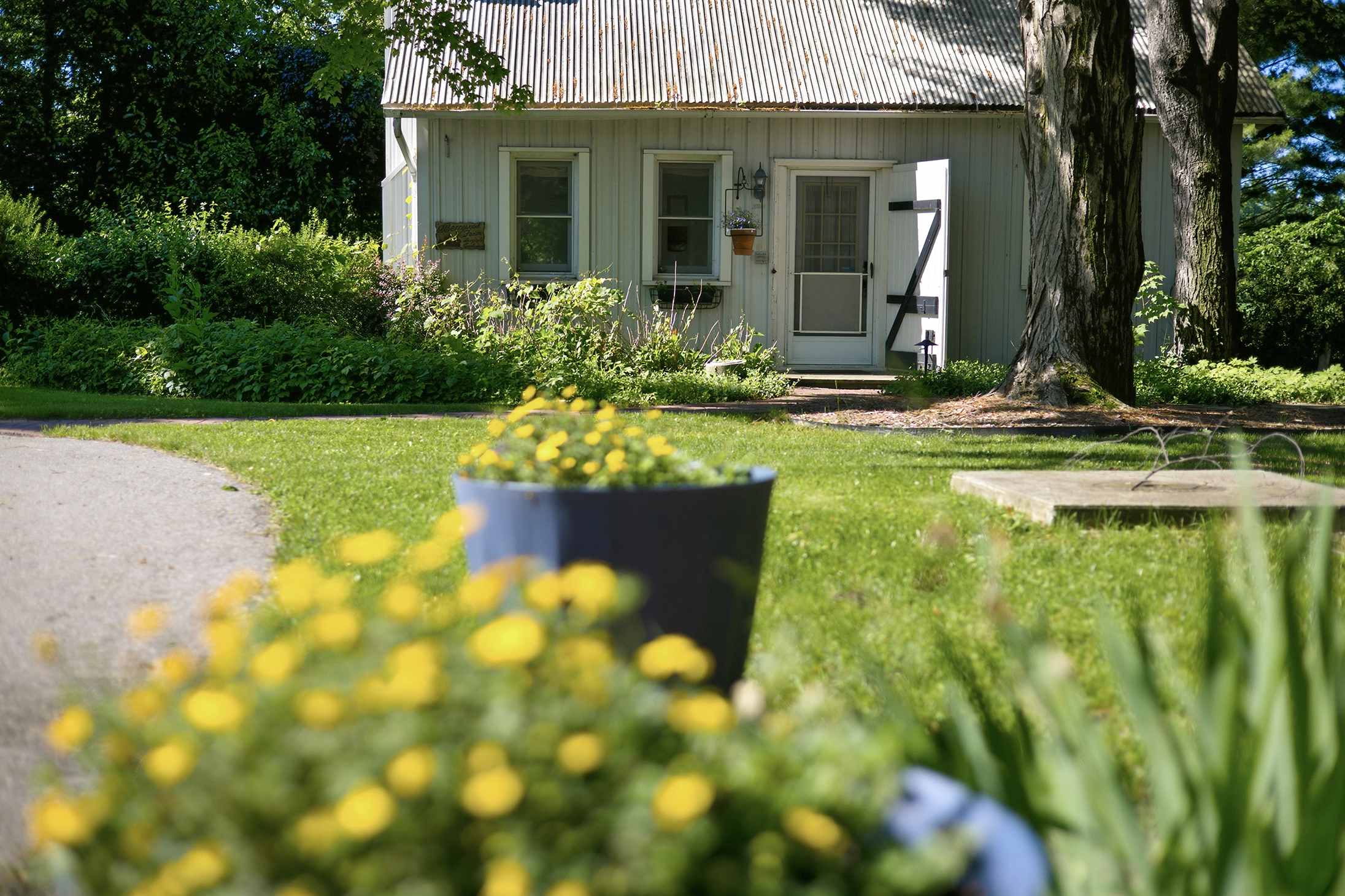 Sunny cottage charm surrounded by nature at Berrywood Farm.
