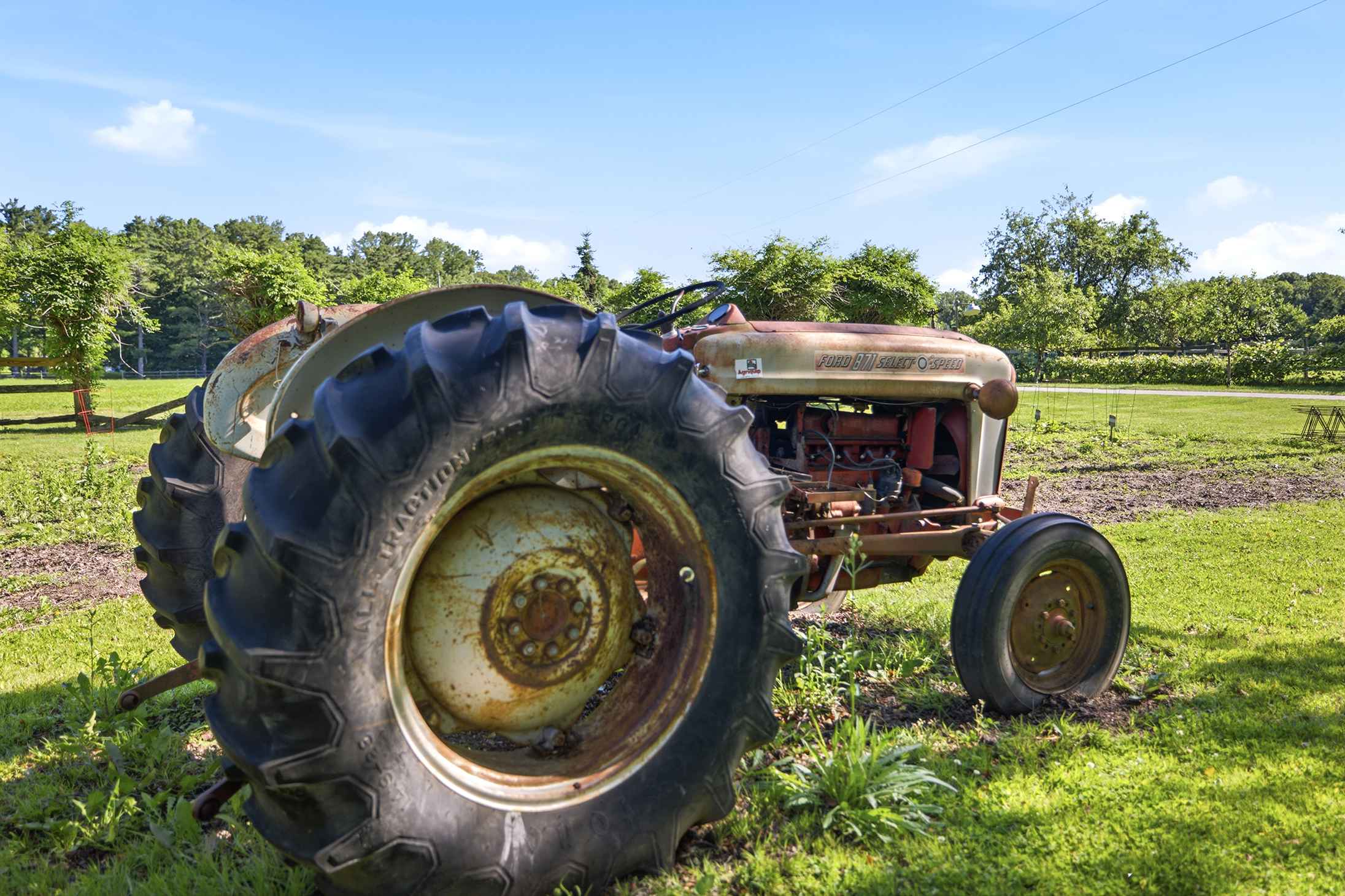 Farmstead character at Berrywood Farm, complete with our vintage tractor mascot.