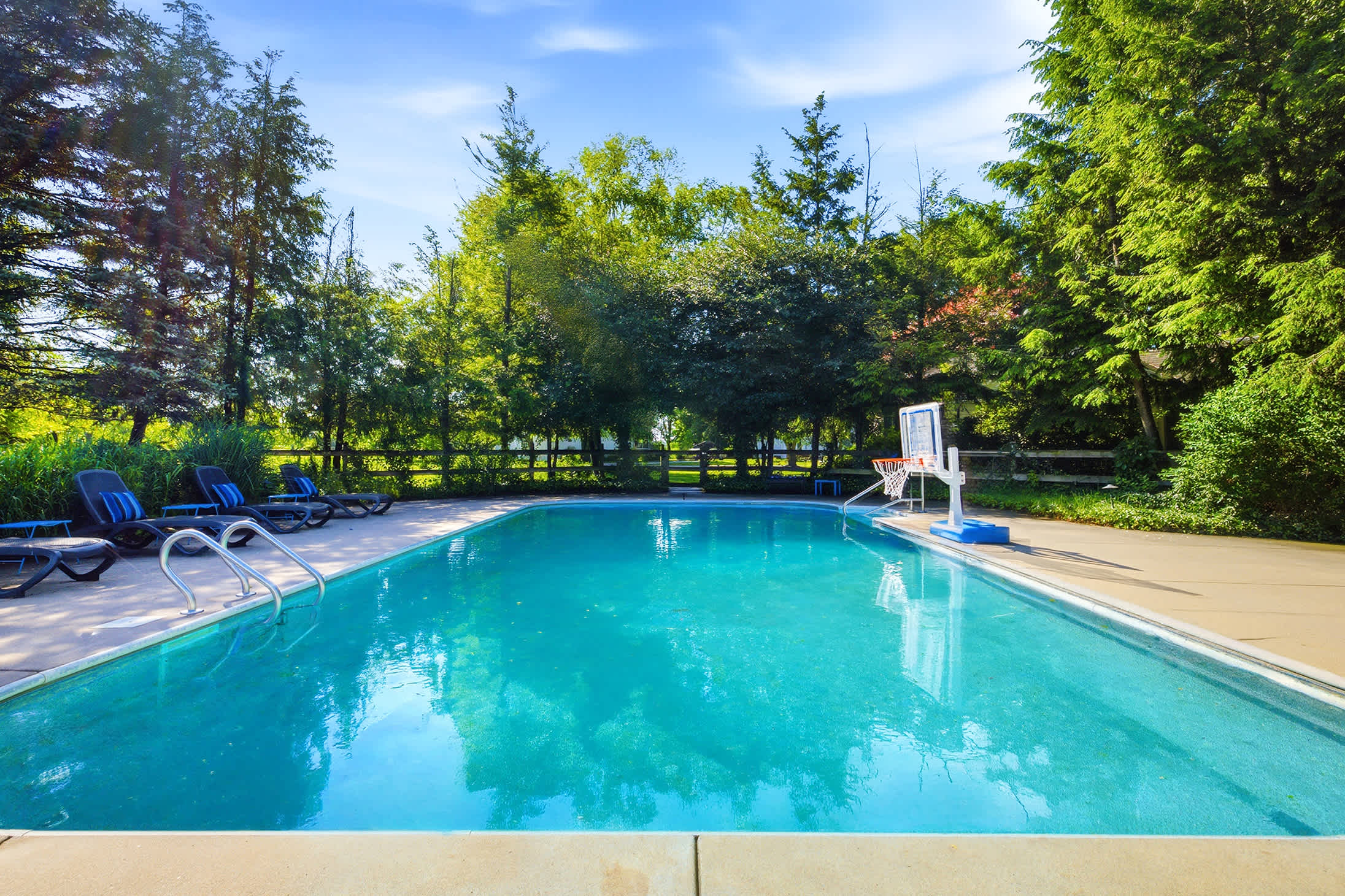 Dive in—the water's perfect and the hoop's waiting.