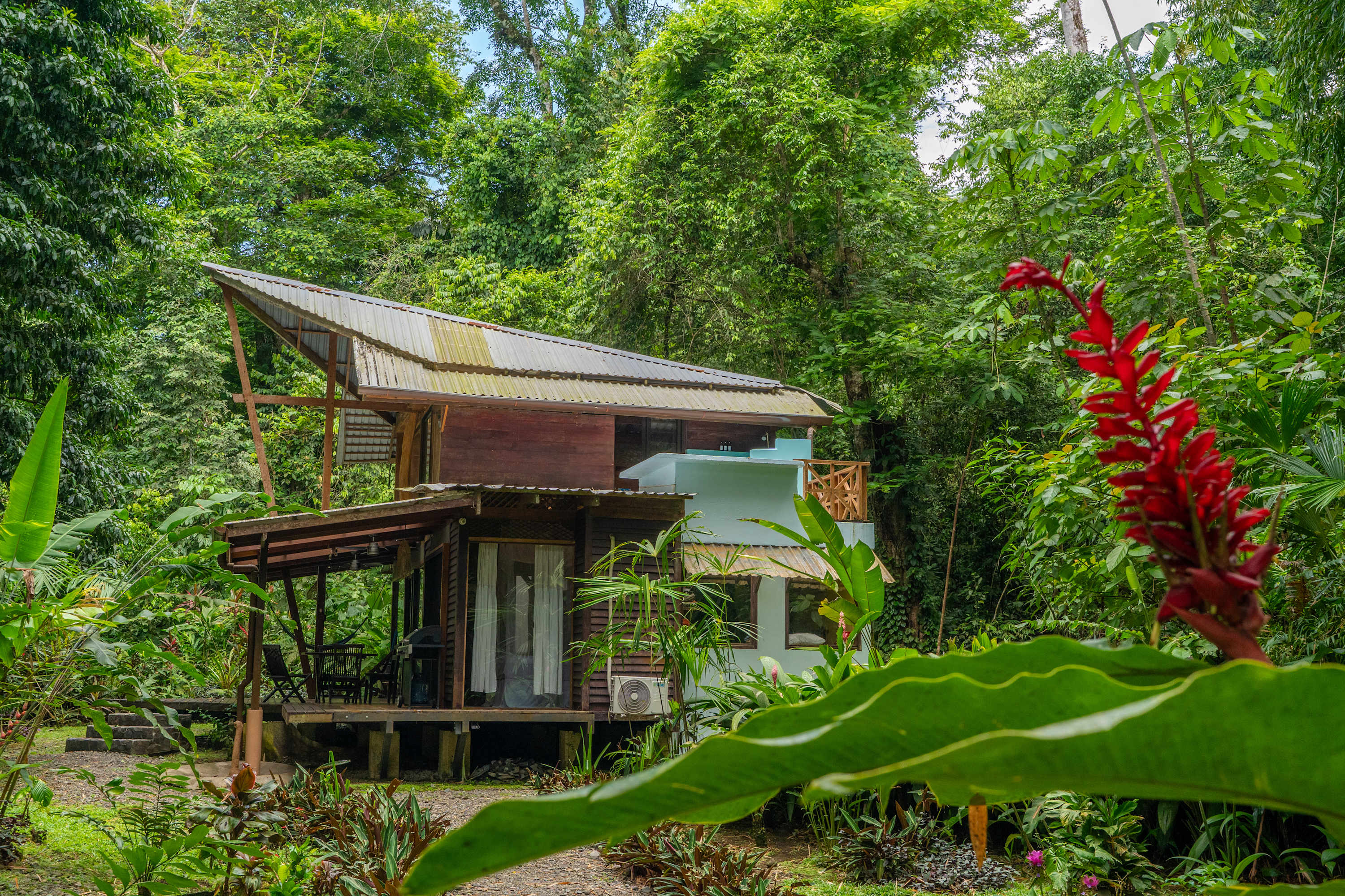 Casa Auratus: Jungle Paradise Near Gandoca Refuge
