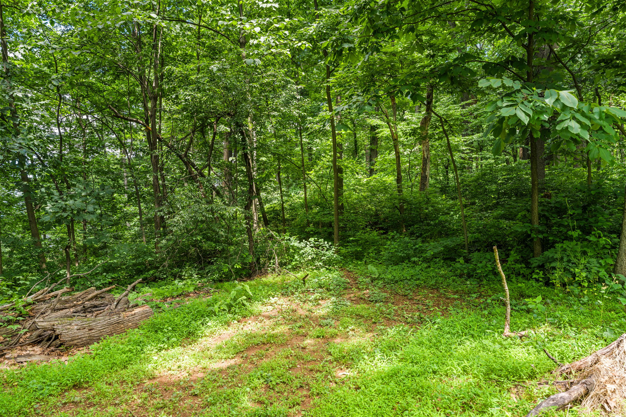 Mountain Views w/Hot Tub, 95” TV & Trail Access