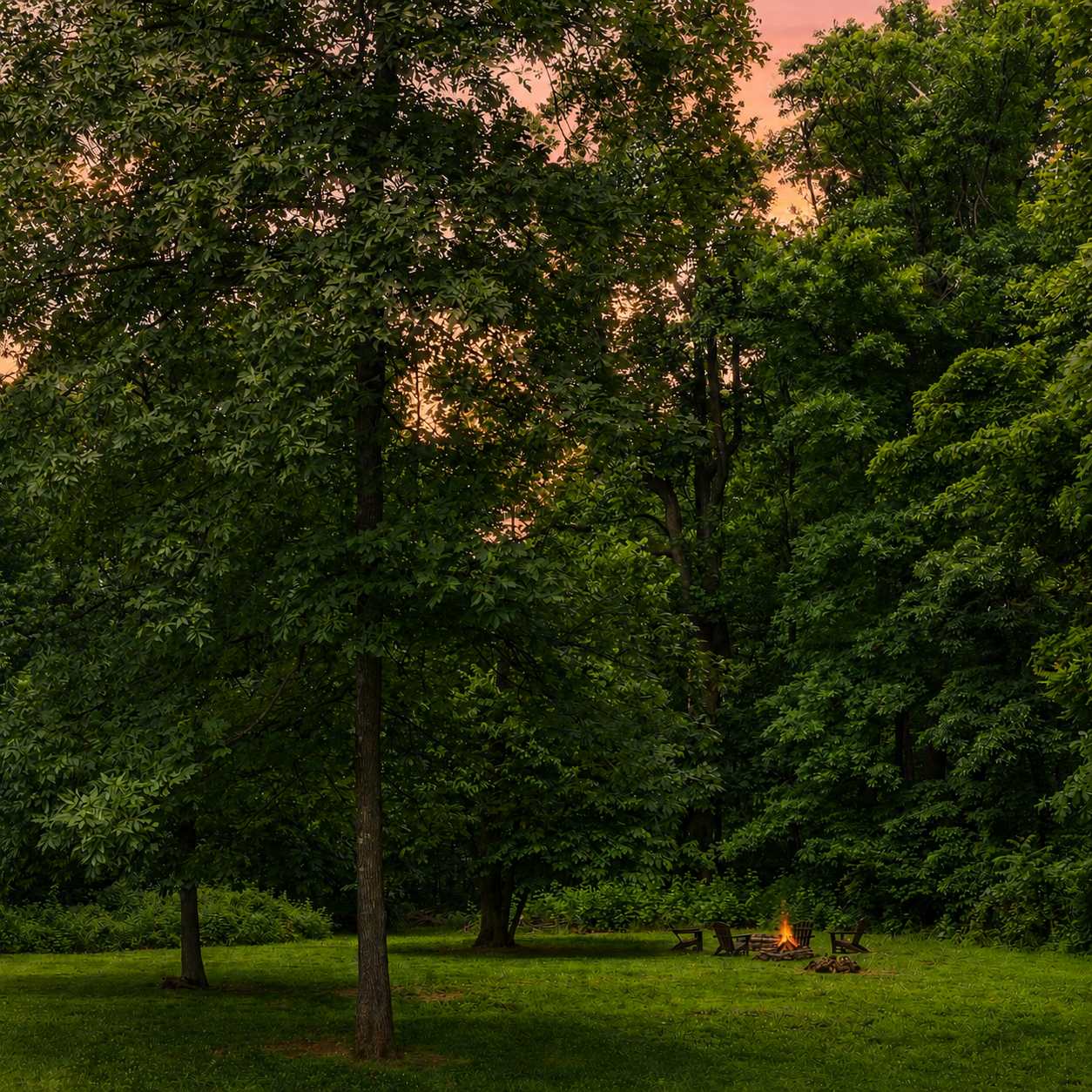  The spacious yard provides plenty of room to spread out, play games, and gather around the fire pit under the stars.
