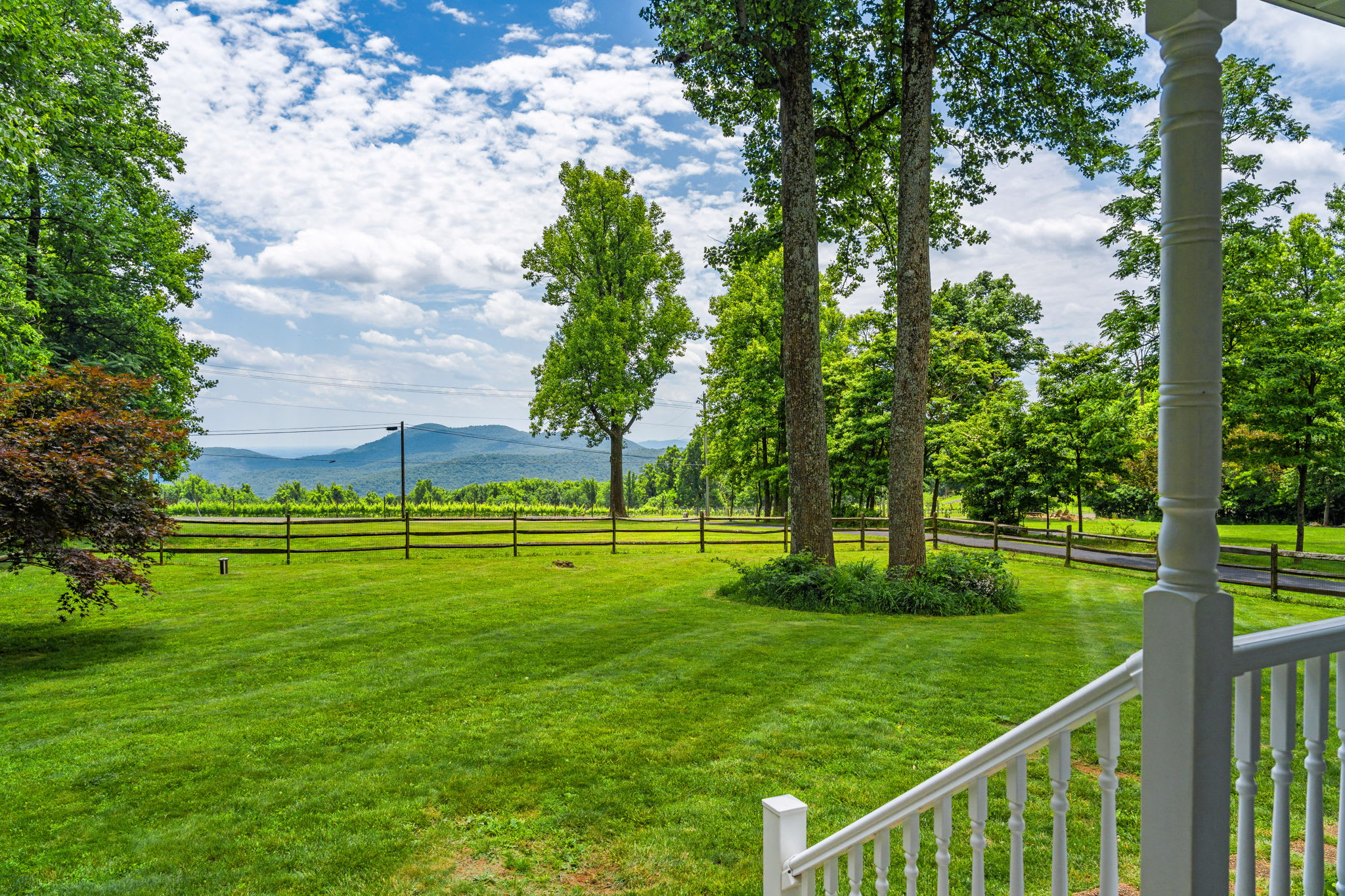 Spacious yard, partially fenced
