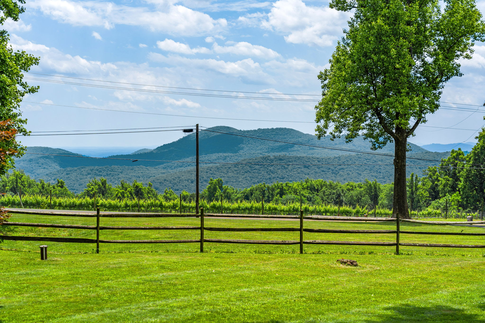 Appalachian Trail directly across the street
