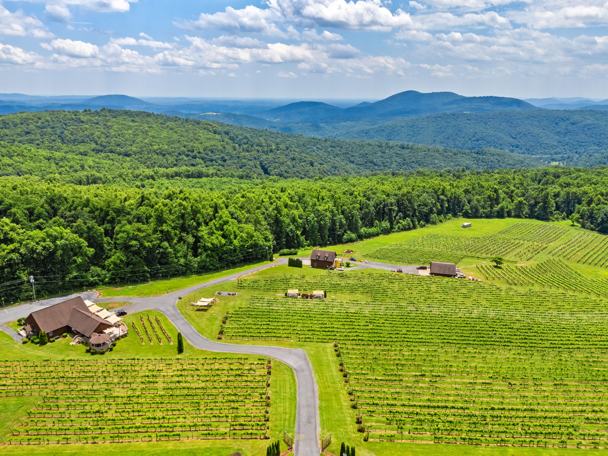 Mountain Views w/Hot Tub, 95” TV & Trail Access