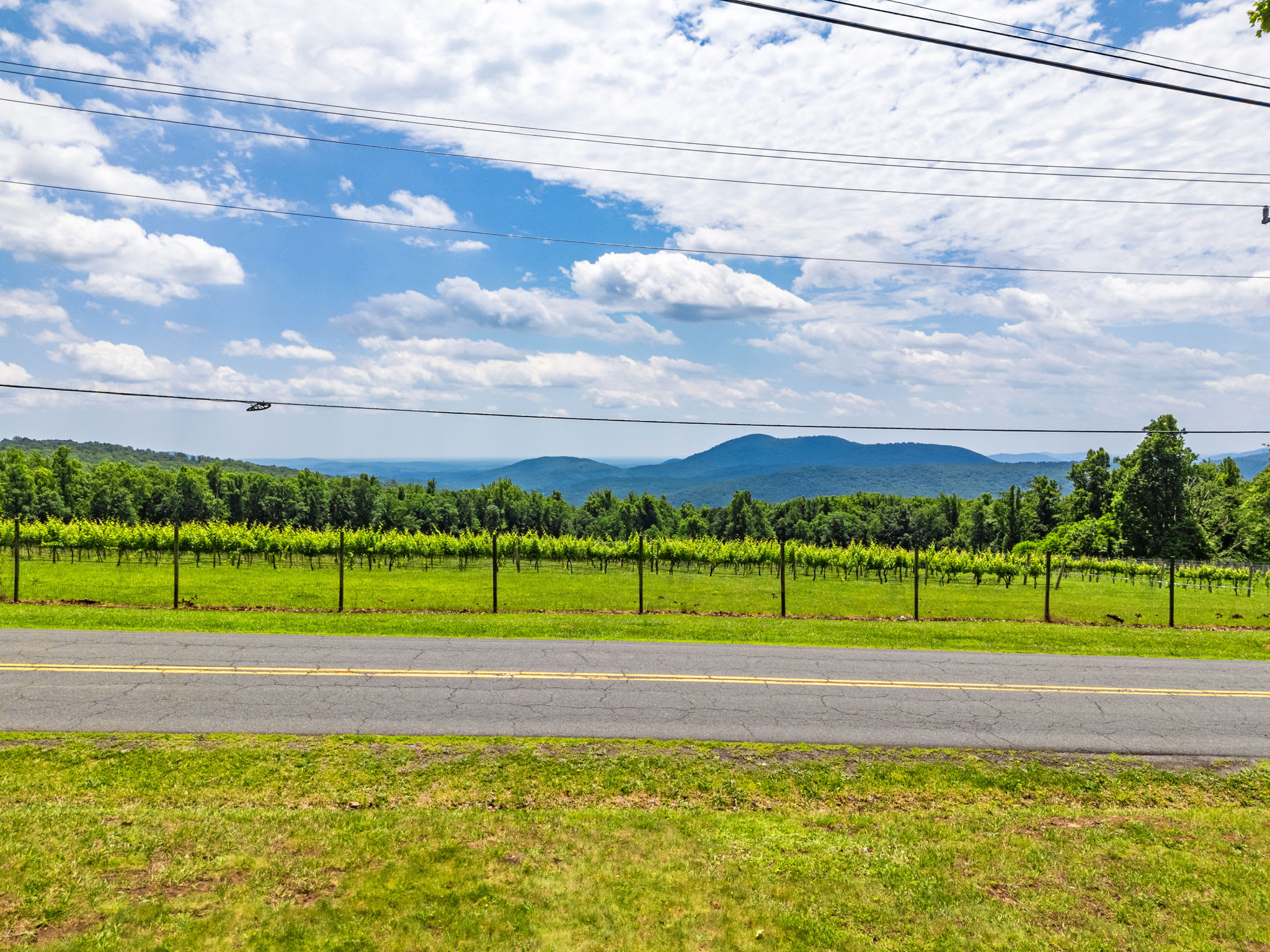 Mountain Views w/Hot Tub, 95” TV & Trail Access
