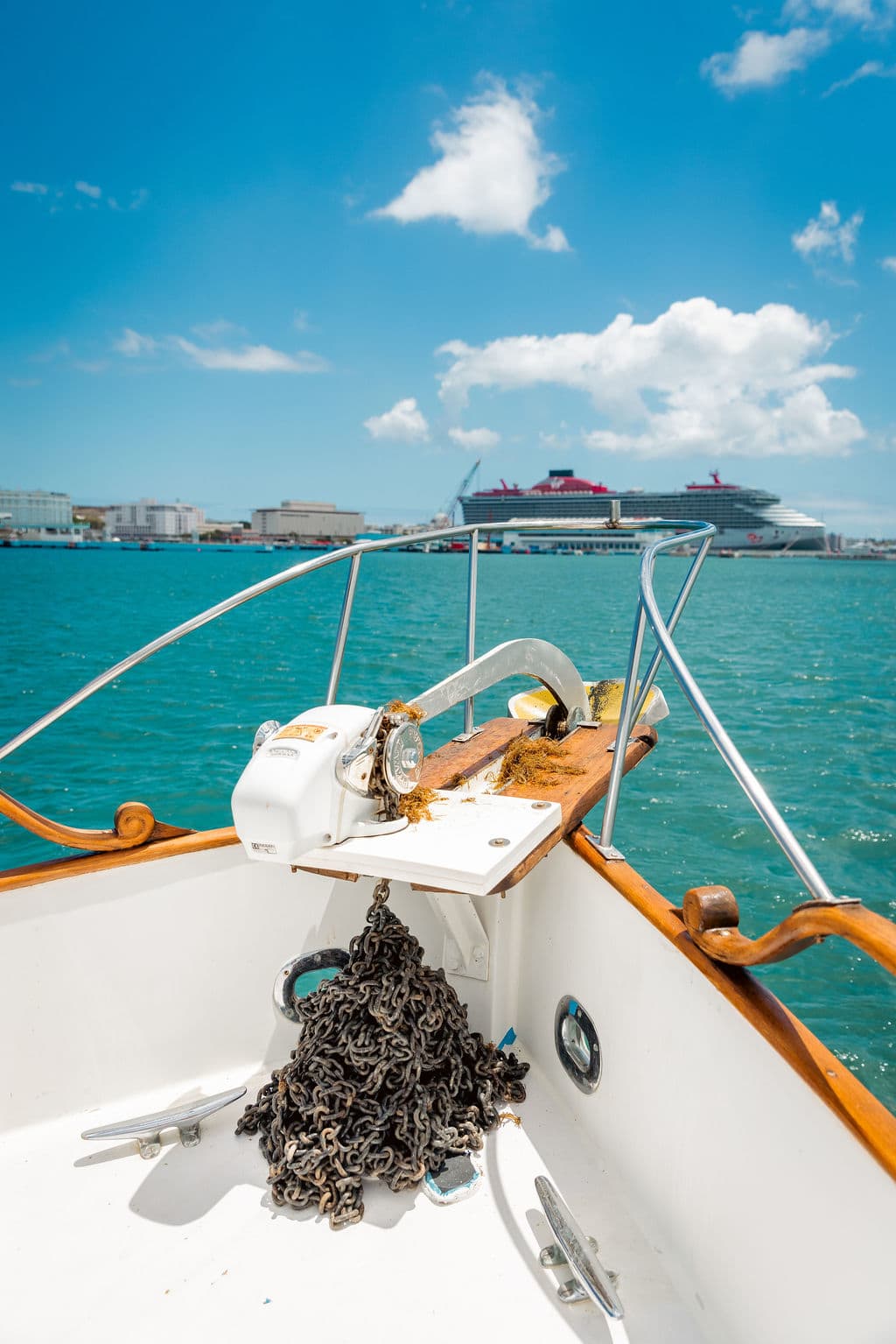 2hr Boat Tour for groups of 6 or less | Departs at 2 PM — photo 5