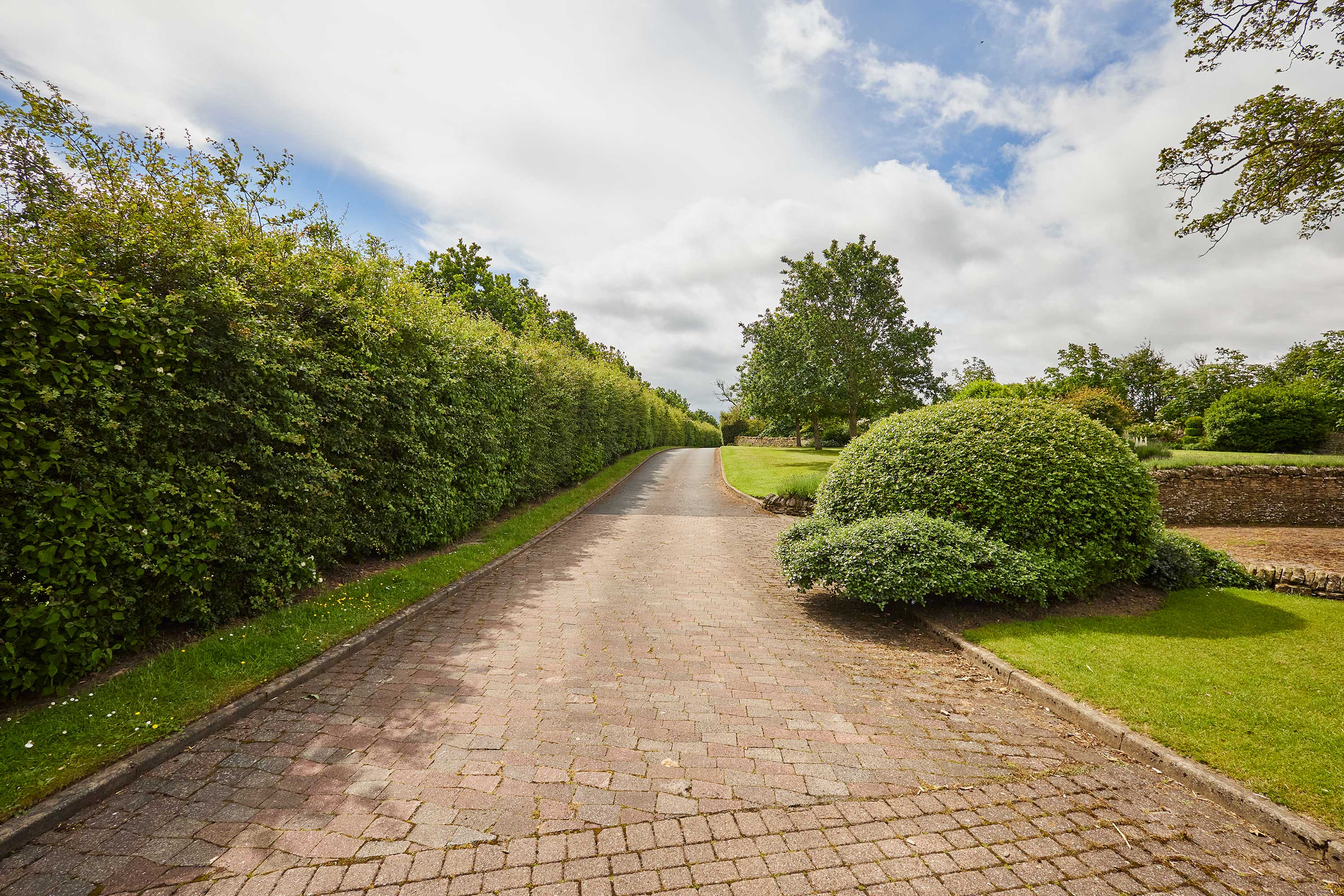 The Spinney – photo 15