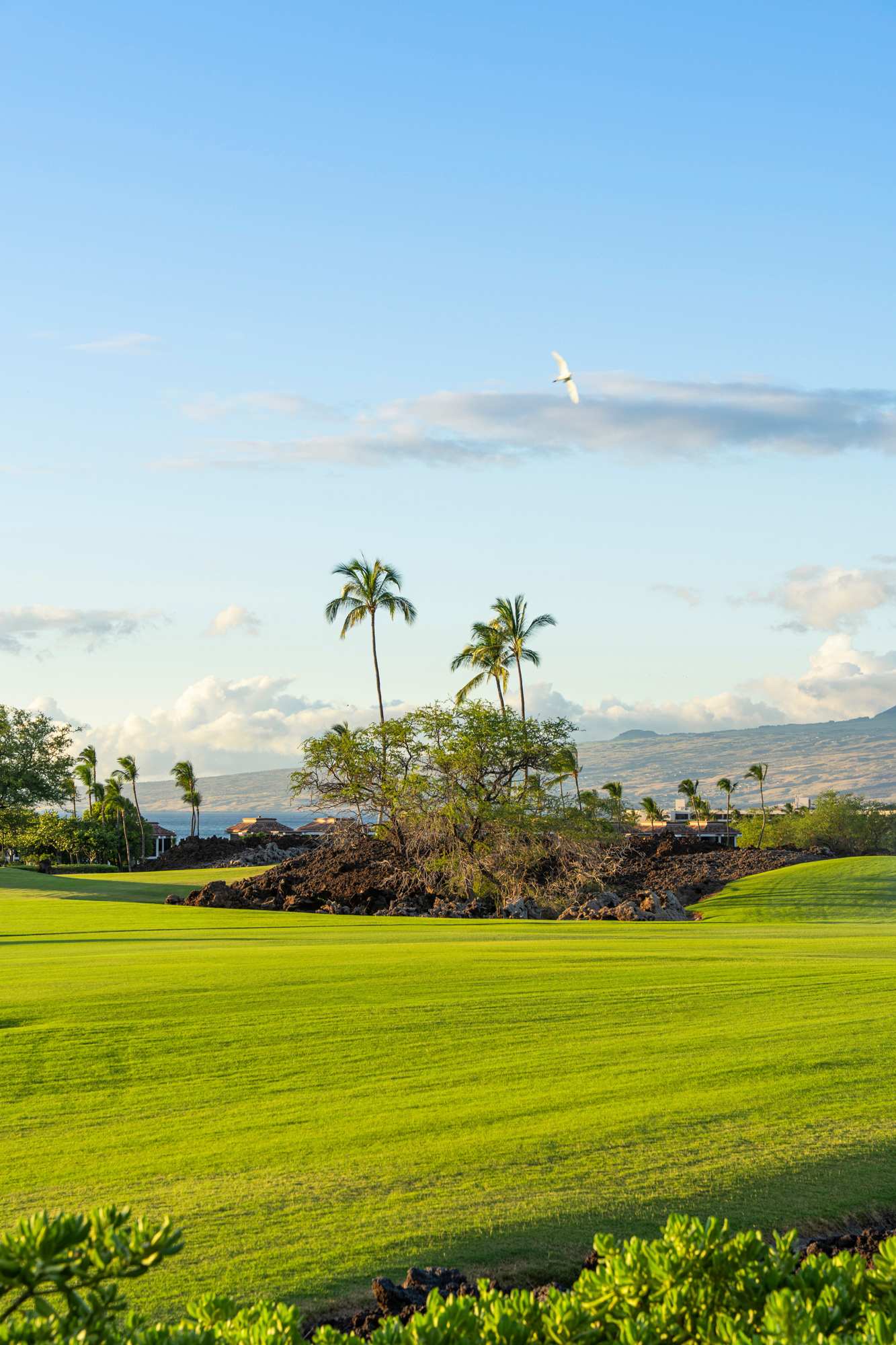 View | Aloha Nui at Residences of Laulea, Big Island, Hawaii, by Luxus Vacation Properties