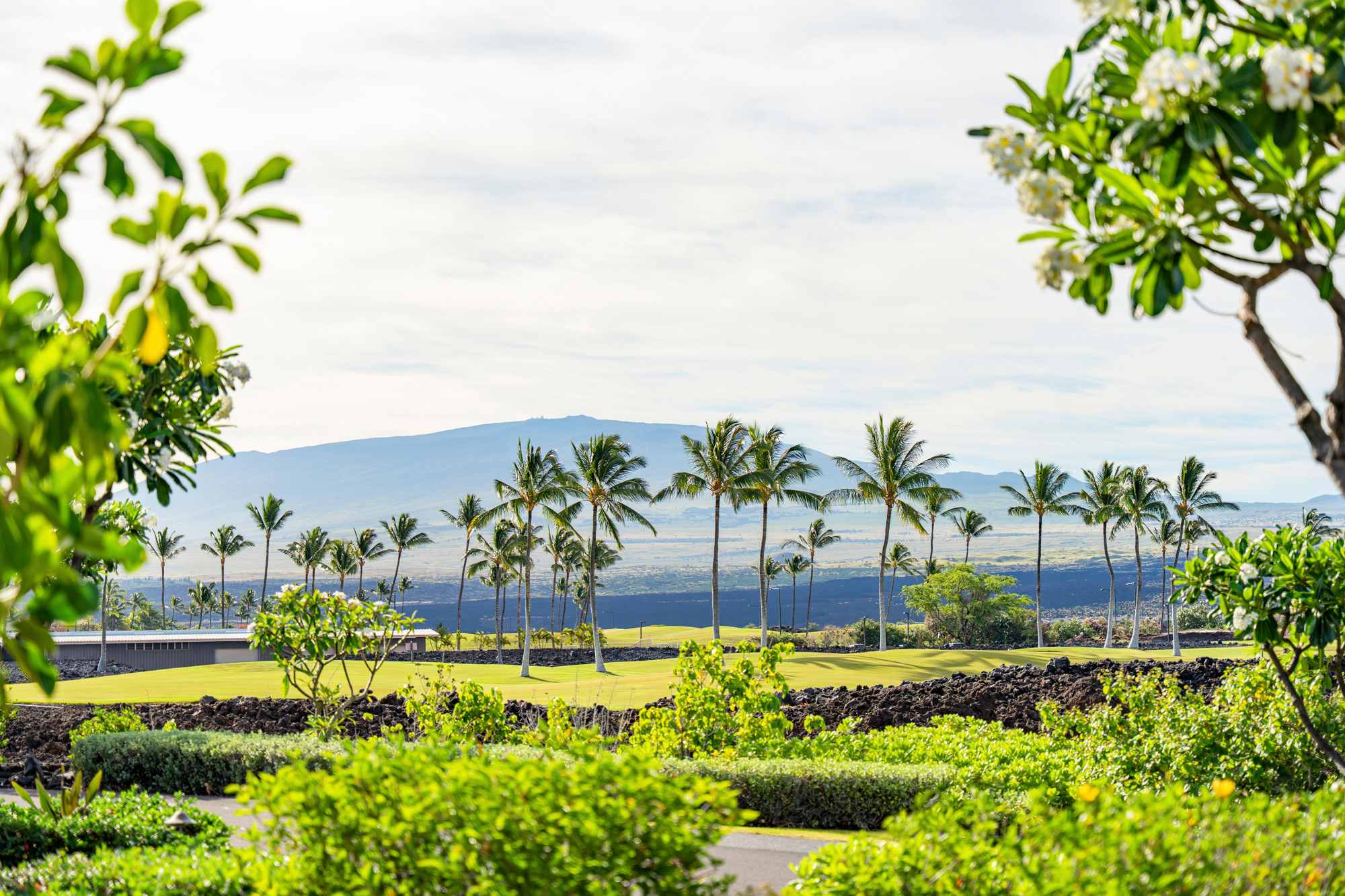 View | Aloha Nui at Residences of Laulea, Big Island, Hawaii, by Luxus Vacation Properties