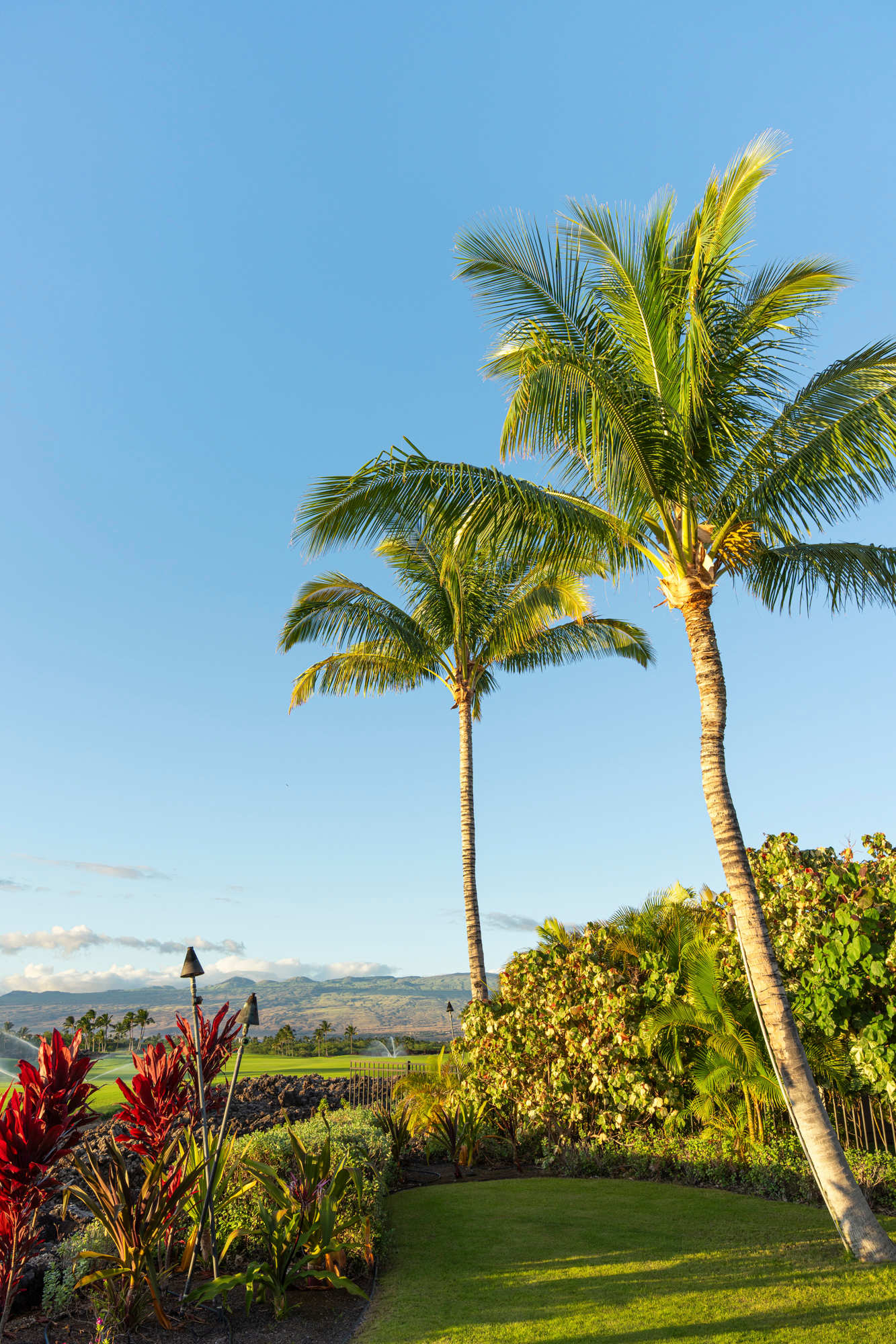 View | Aloha Nui at Residences of Laulea, Big Island, Hawaii, by Luxus Vacation Properties
