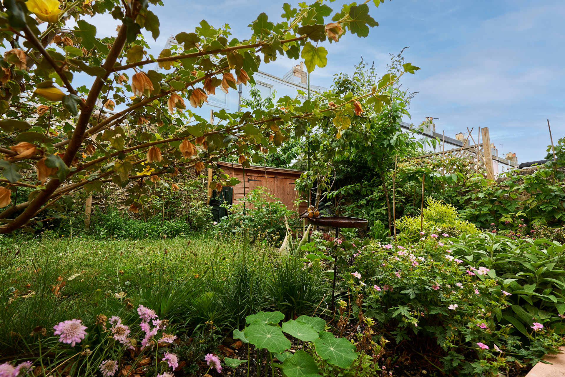 Yellow House – photo 26