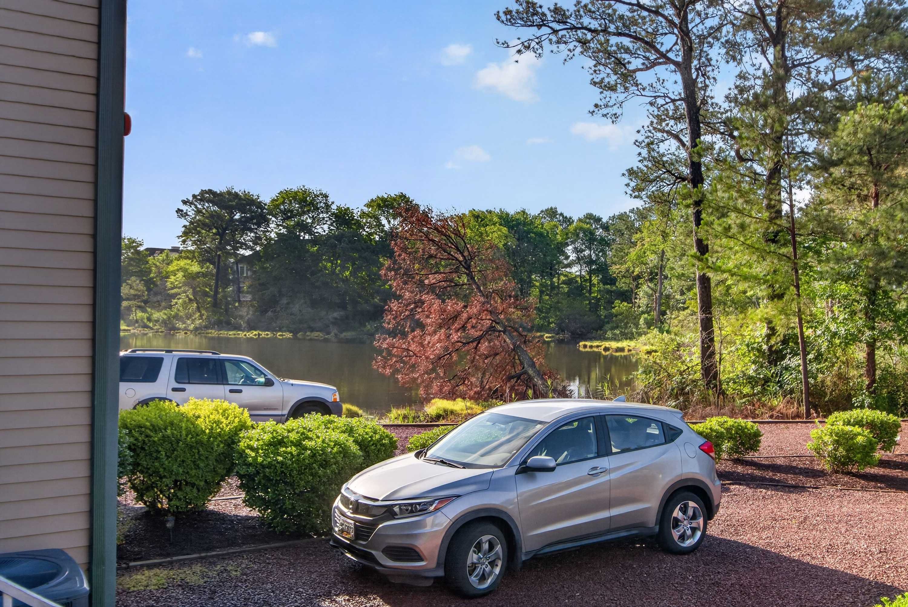 323 Yacht Club's New Chapter | Peaceful Bay greenery retreat