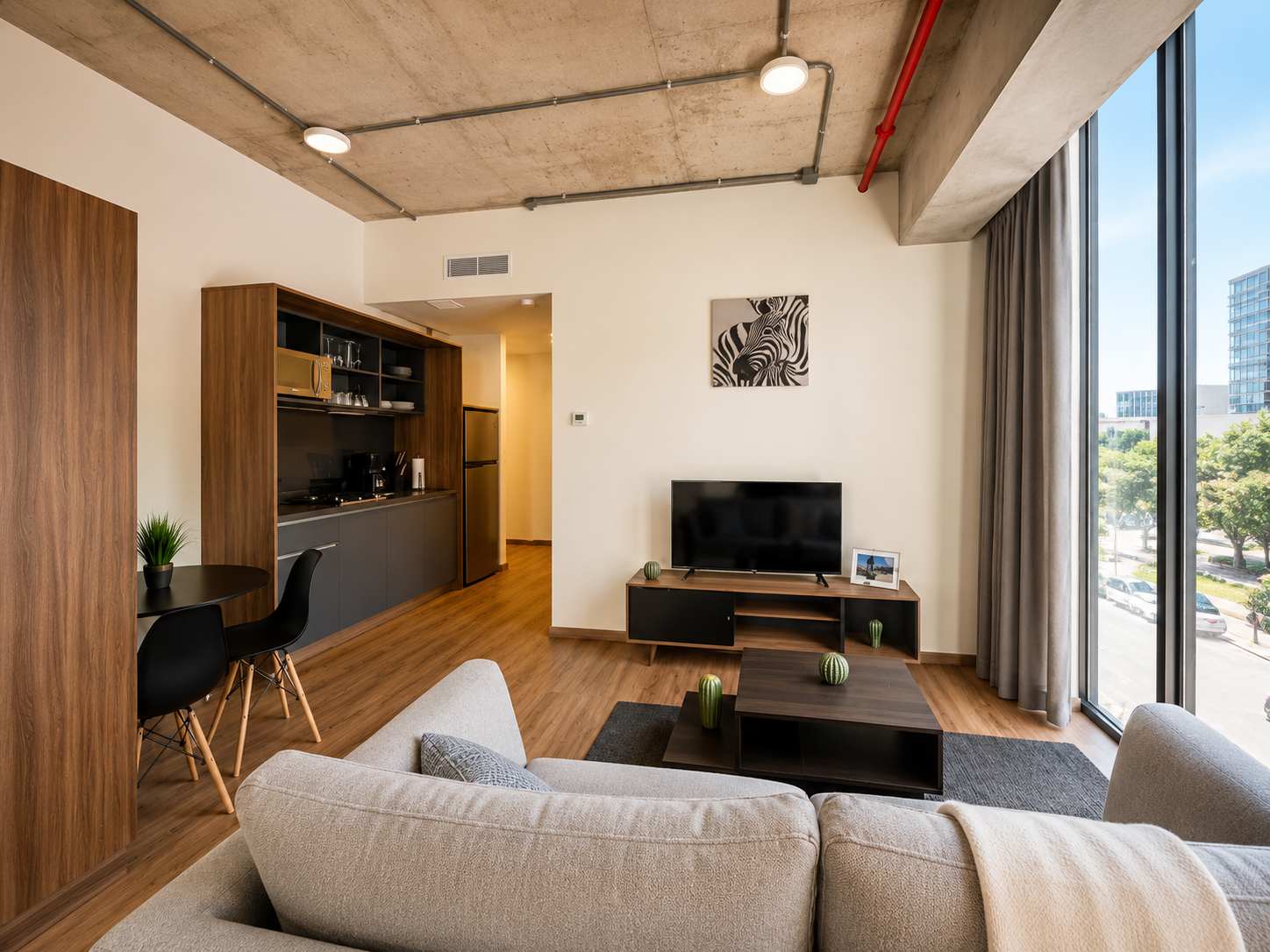 Furnished Studio in Mexico City