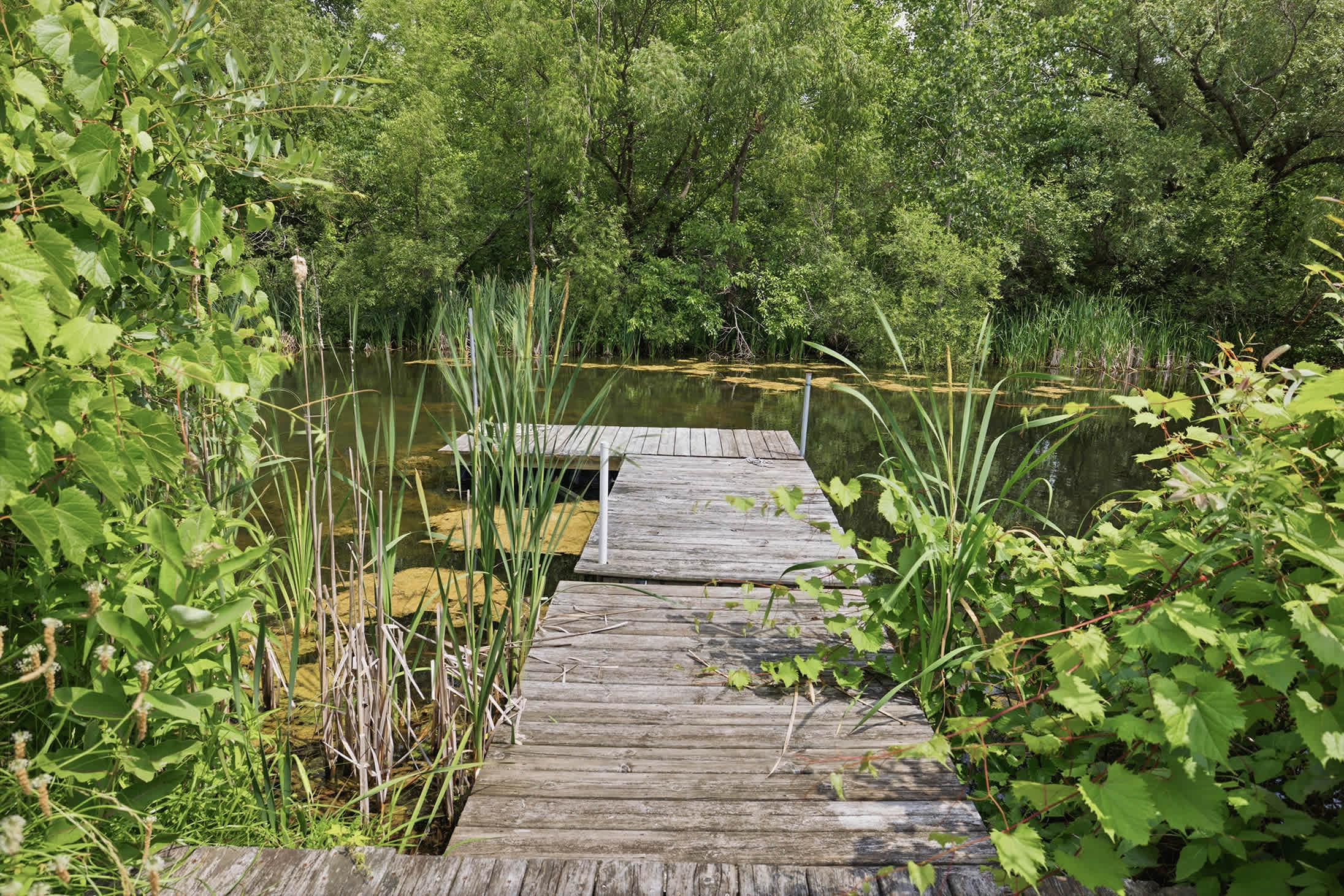Dock your worries here — the pond's got the rest covered.