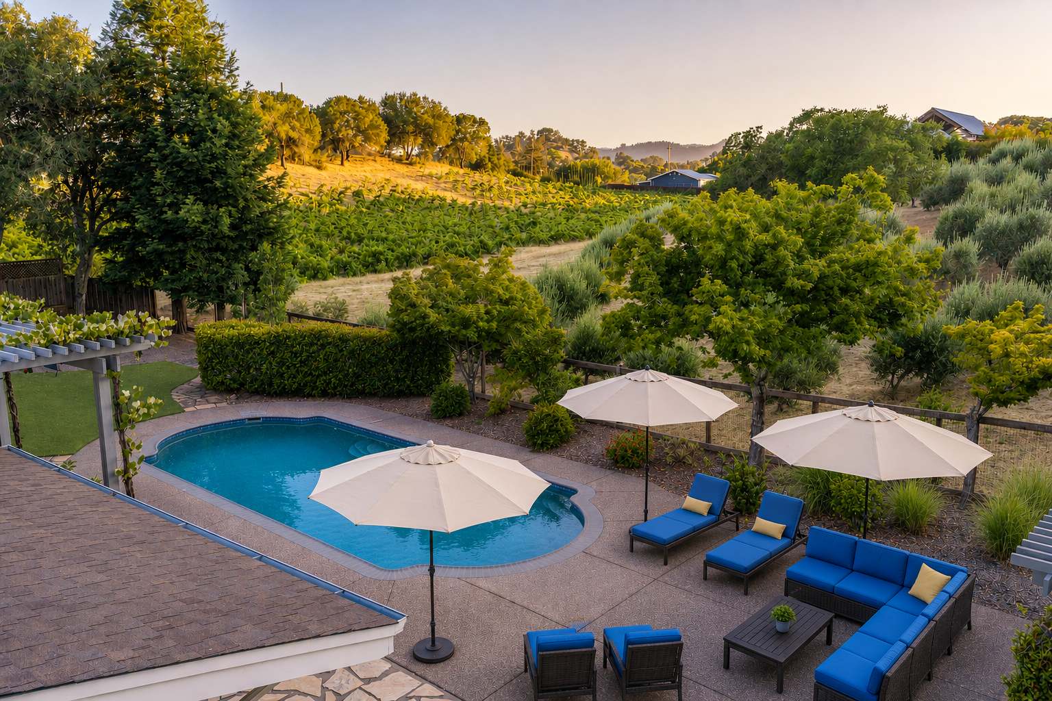 The Grove on Alexander Valley 3