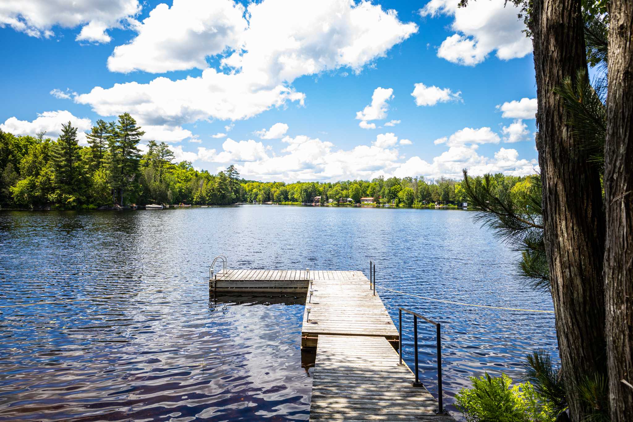 Cottage #455