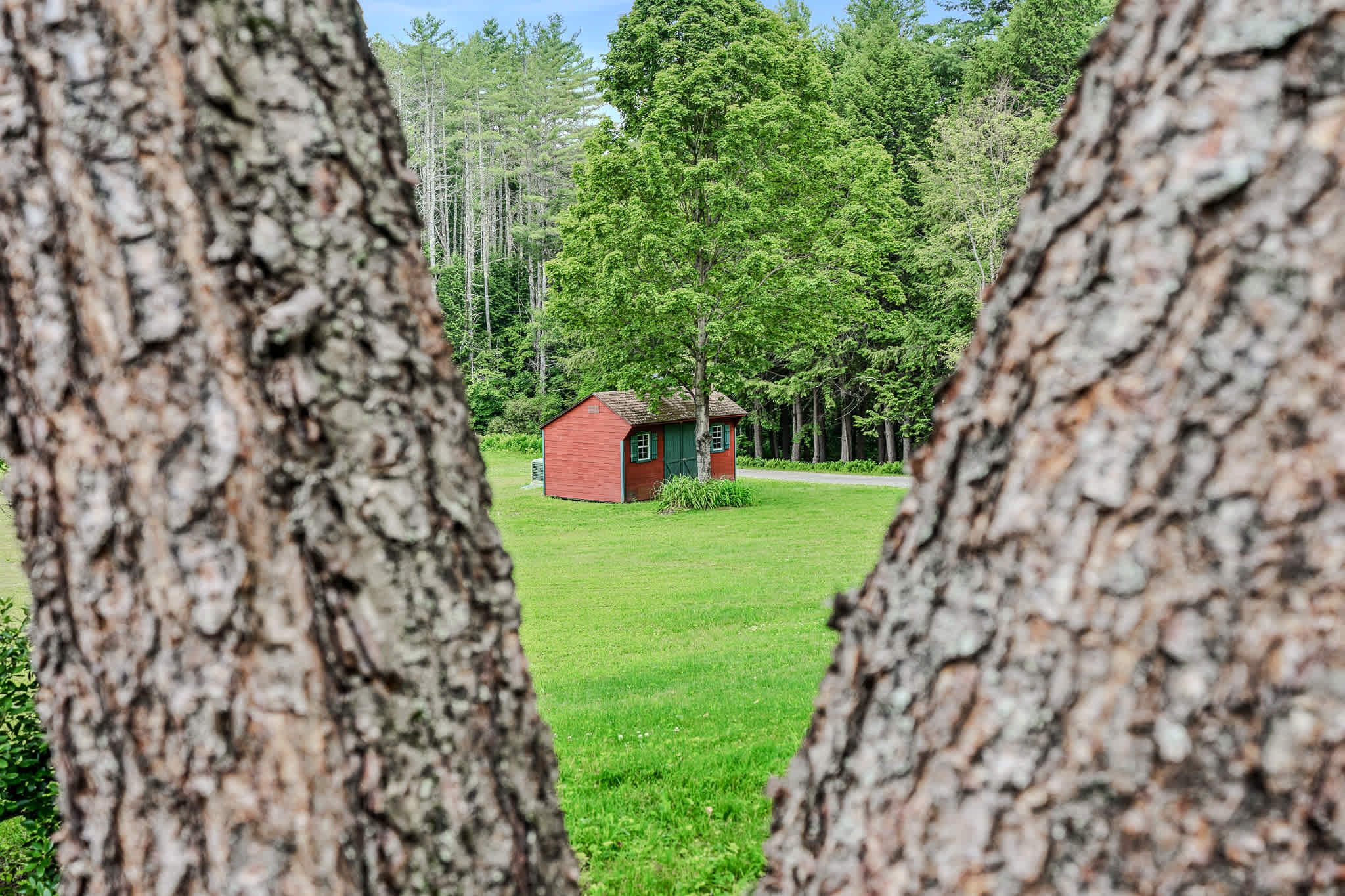 Blue & Sonny Hollow, Modern Cabin with Firepit