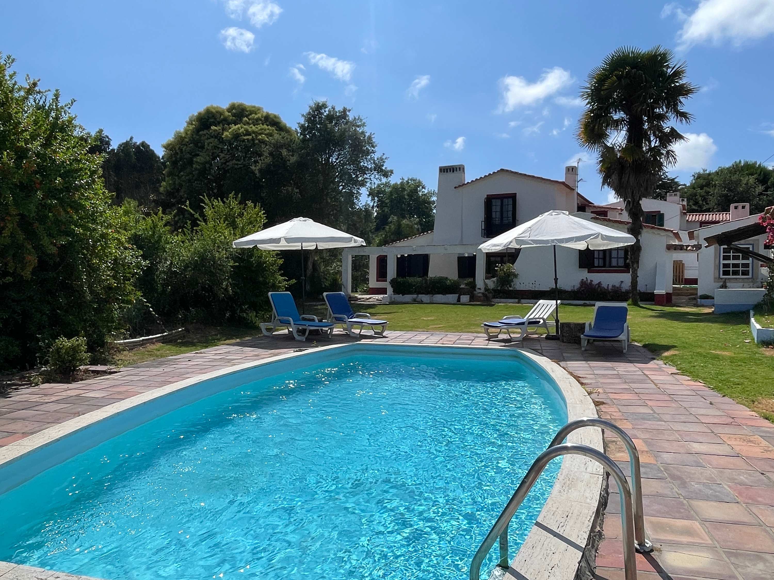 Luxury Historic Villa Quinta da Moita Longa with Swimming Pool