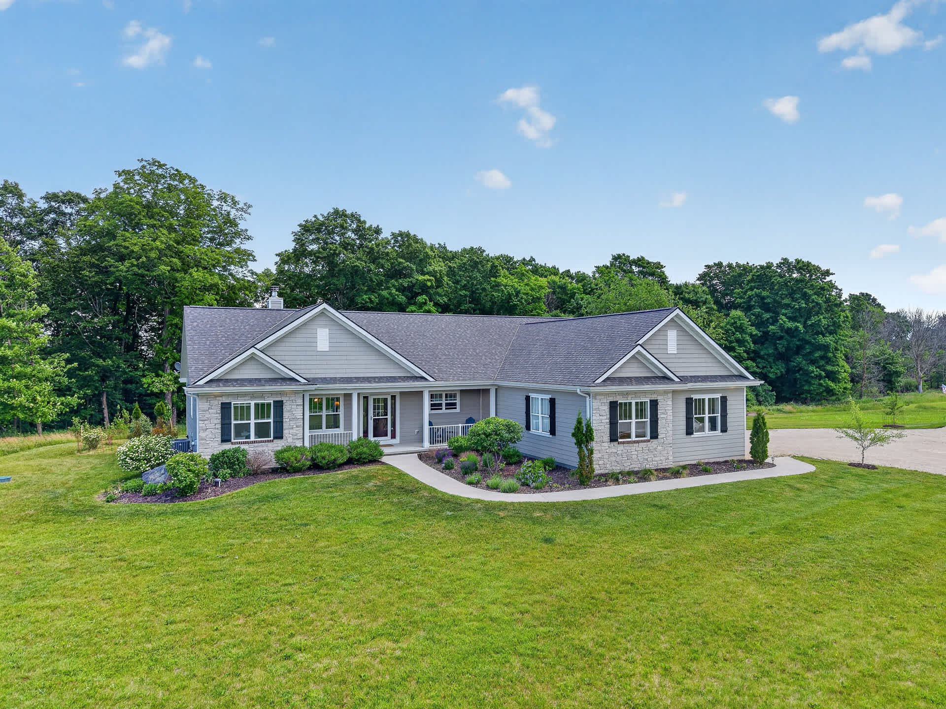 Forest Trail