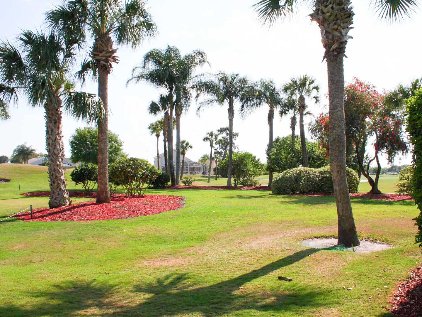 Golf Course at Ventura Resort