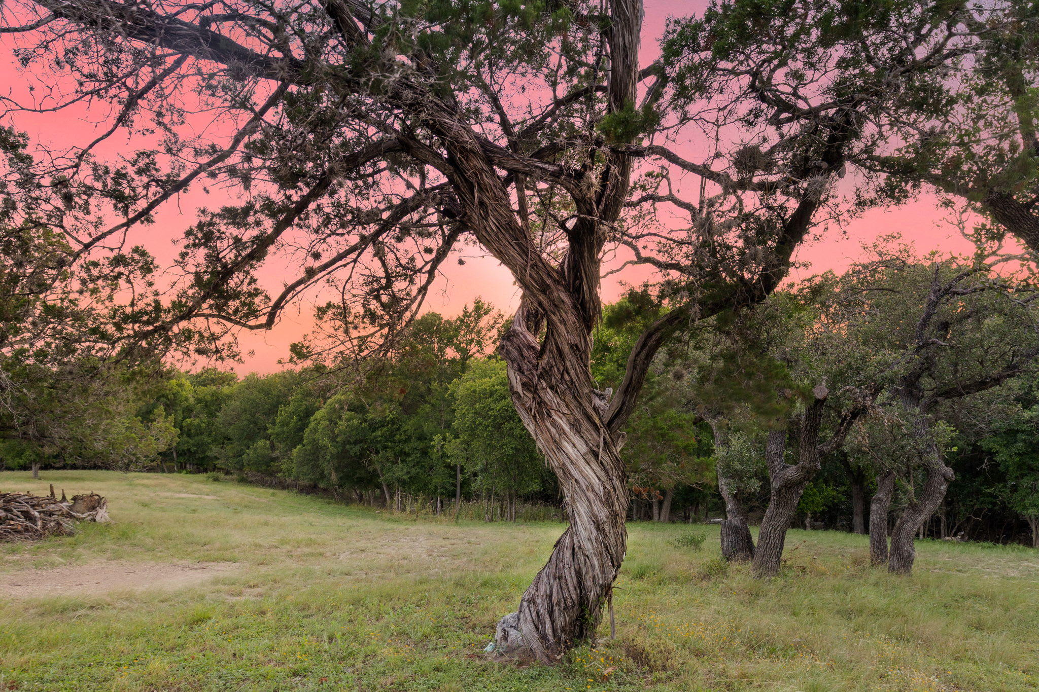 Twisted Cedar Retreat | Photo 40
