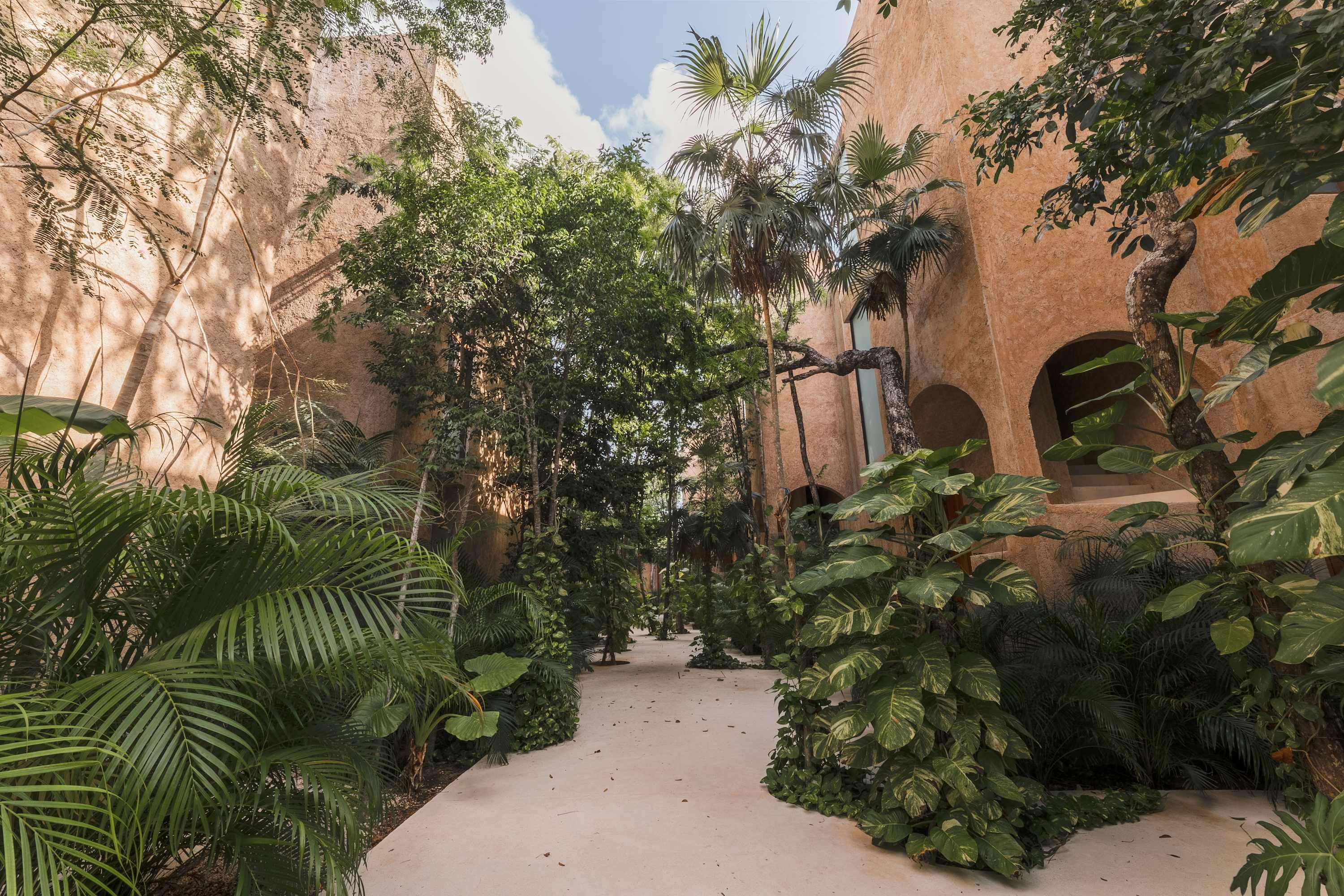 A peaceful jungle pathway welcomes you to the penthouse, blending modern design with Tulum’s natural surroundings.