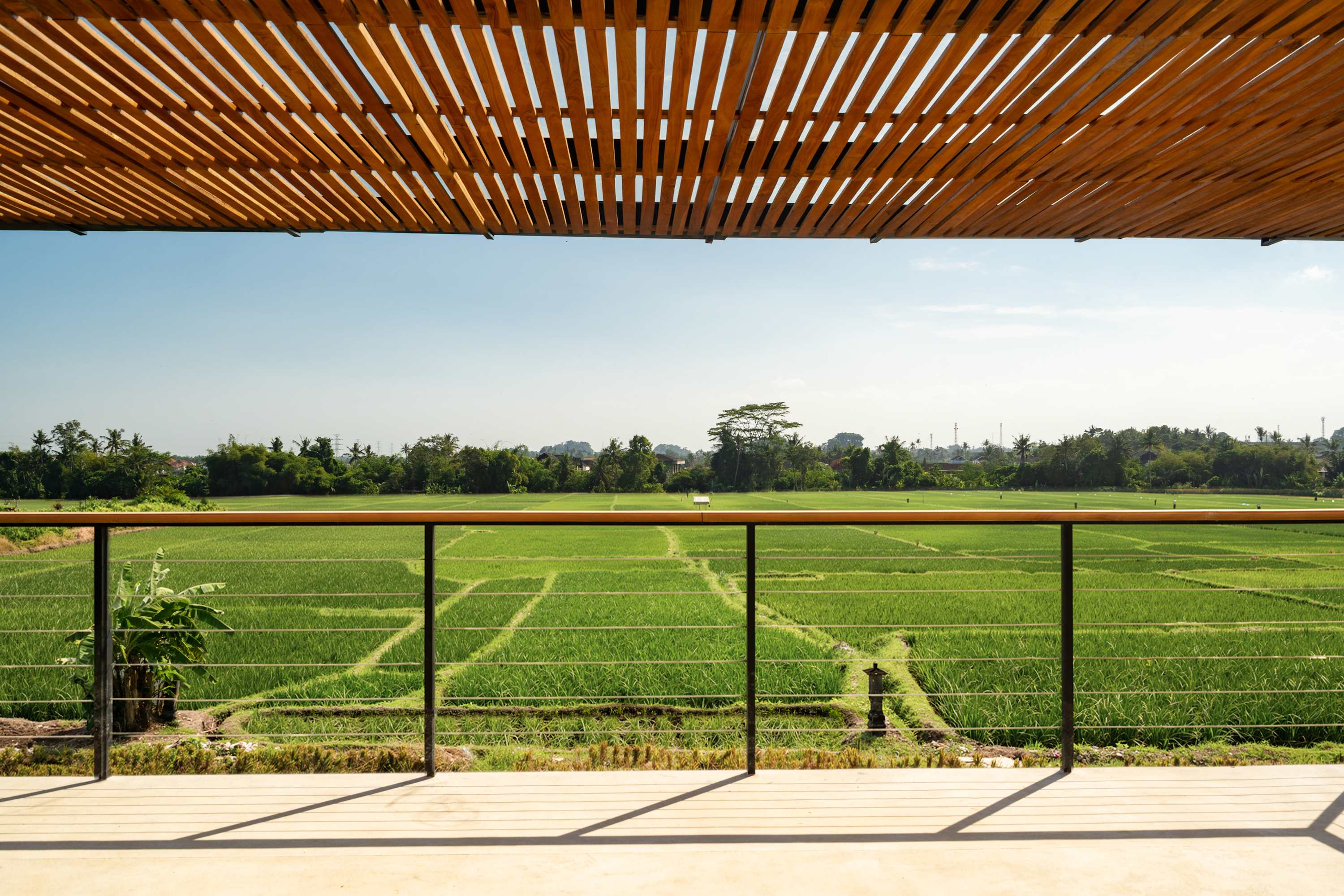 Image 44