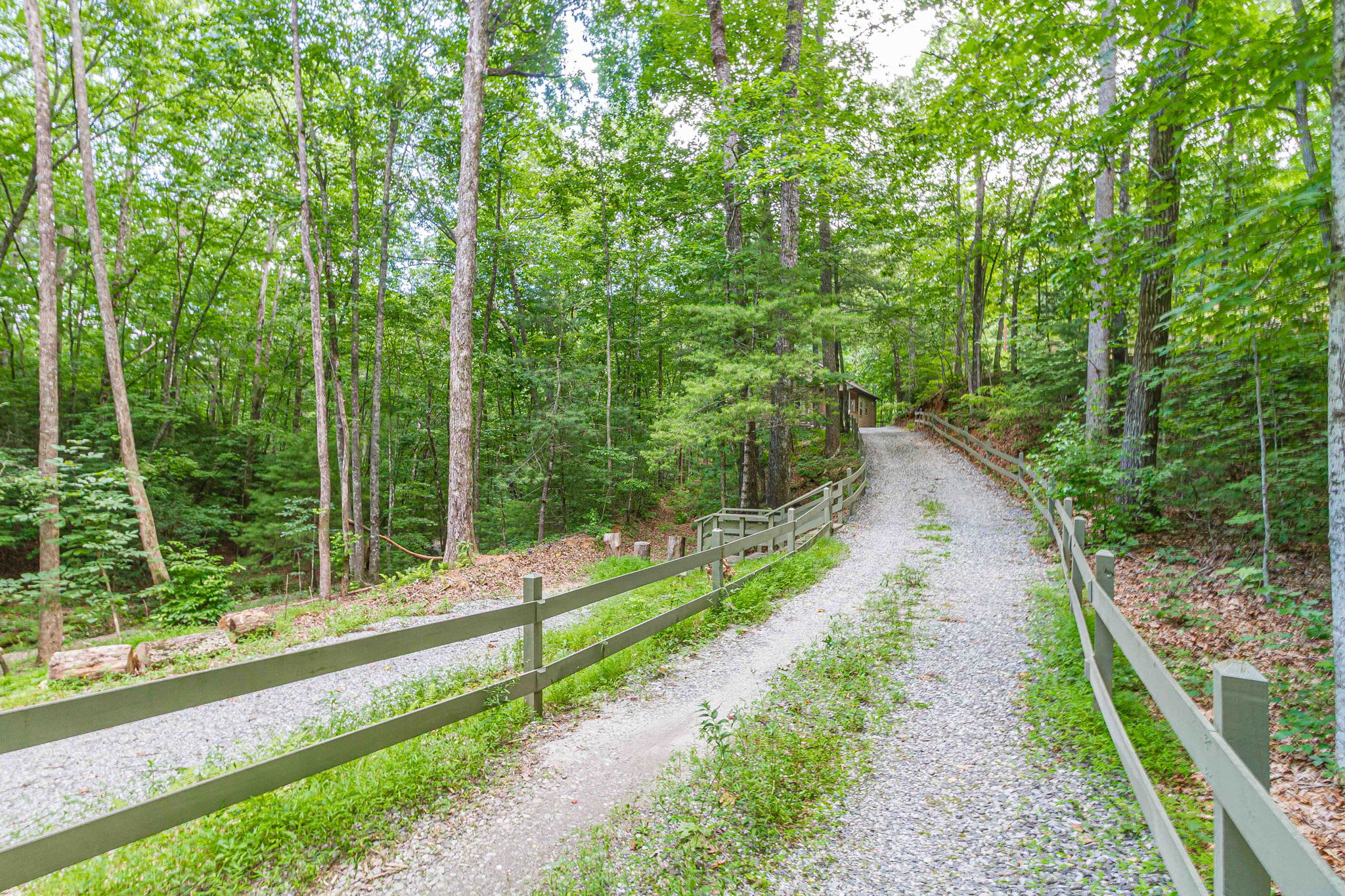 Follow the winding gravel driveway through peaceful woodland surroundings.