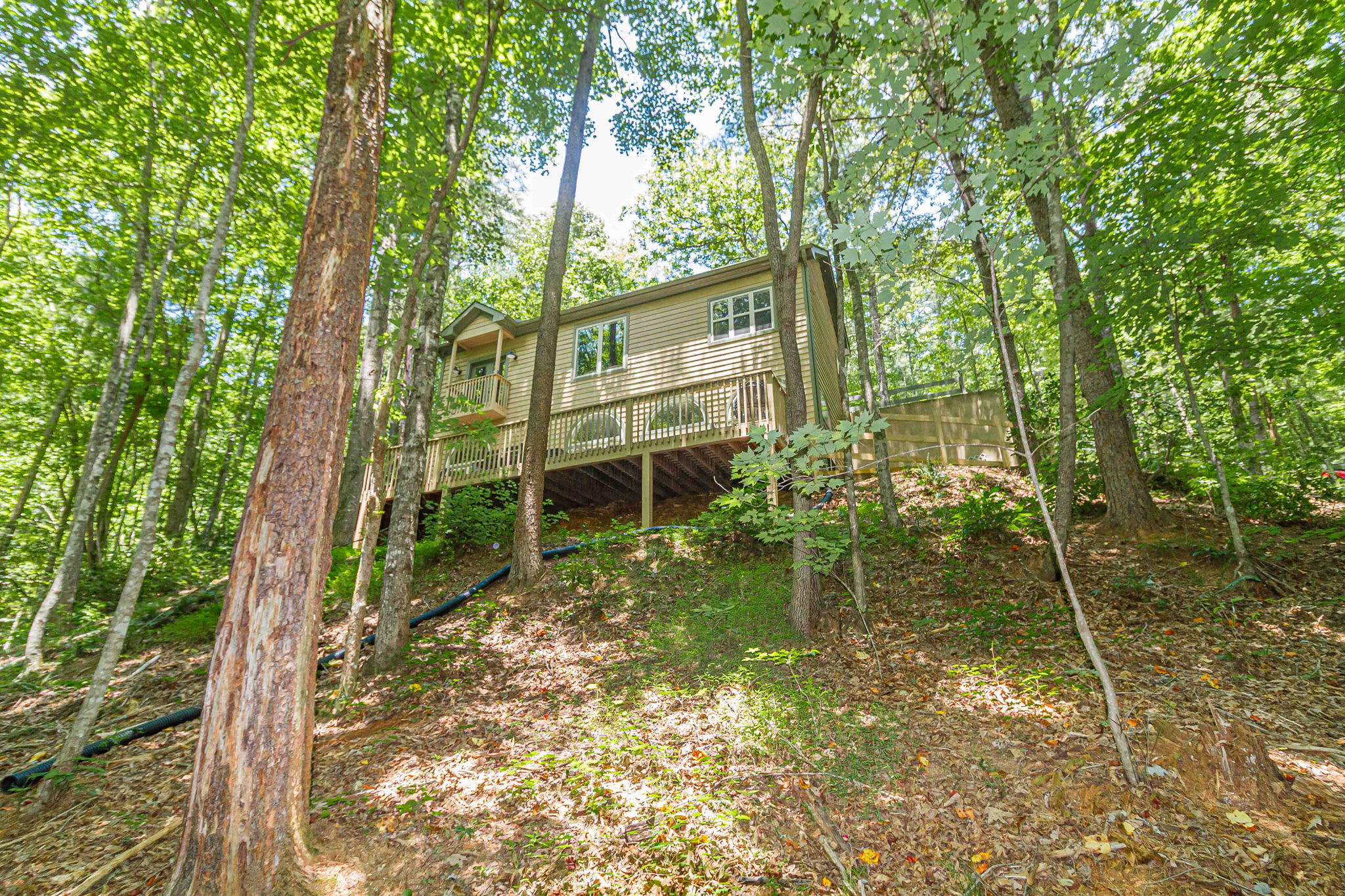 Experience a secluded woodland retreat surrounded by lush greenery.