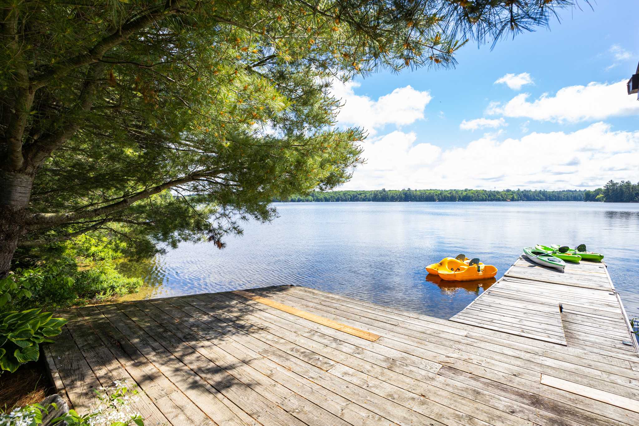 Cottage #482