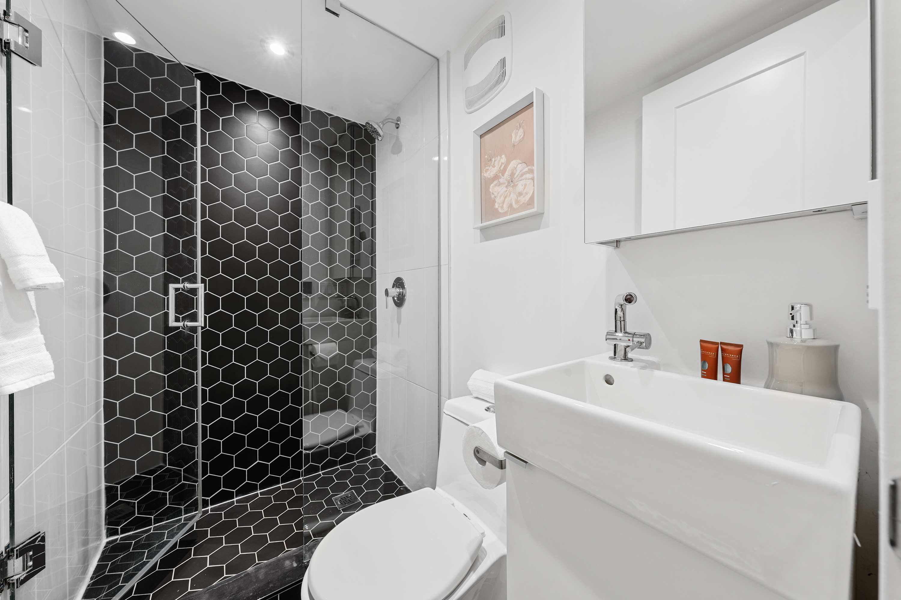 Newly Basement Suite | Photo 6