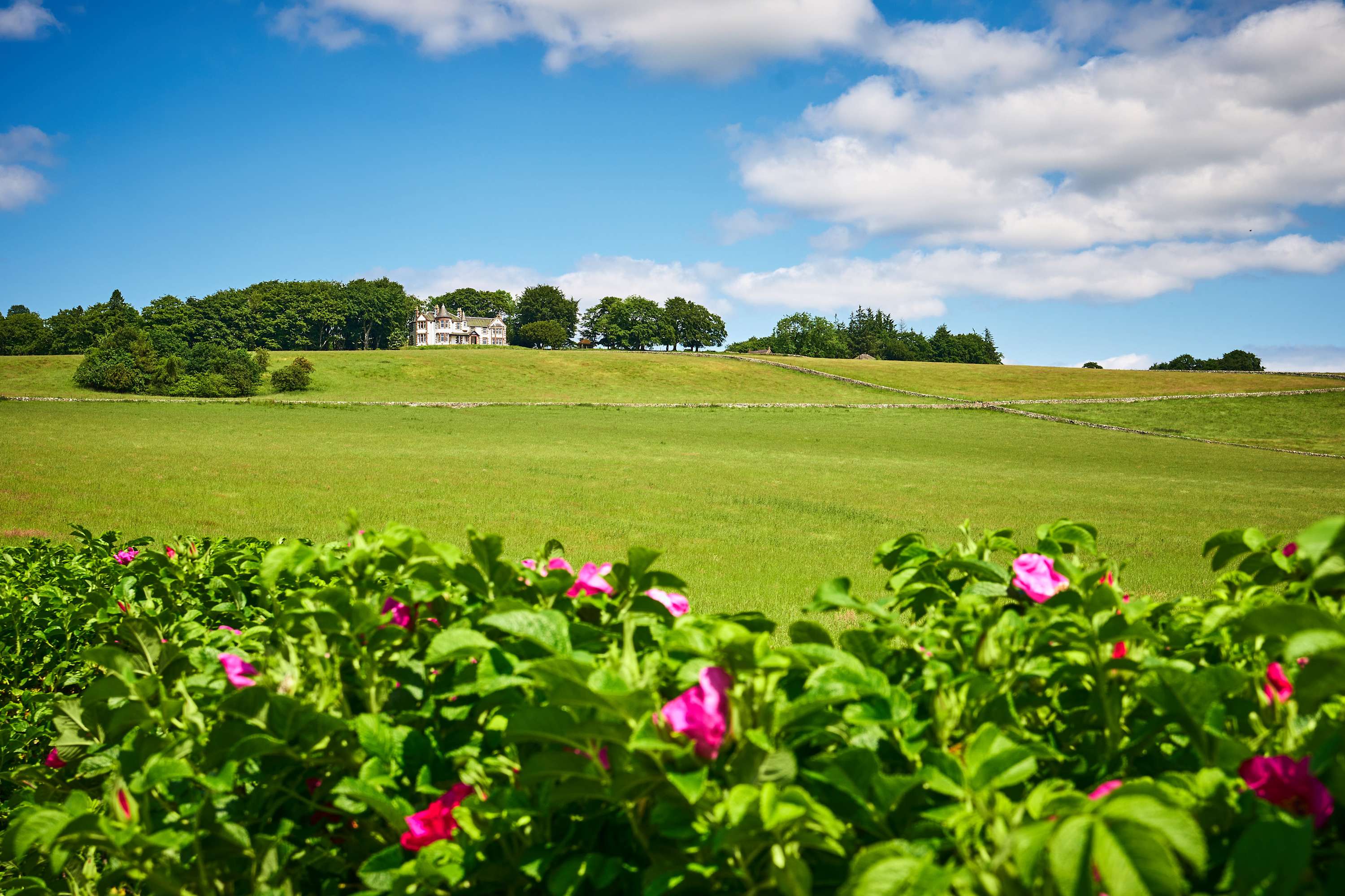 Kinclune House Luxury Estate Mansion, Angus Glens in Kinclune House & Estate DD8 5HX - Property image 71 - VivreStays