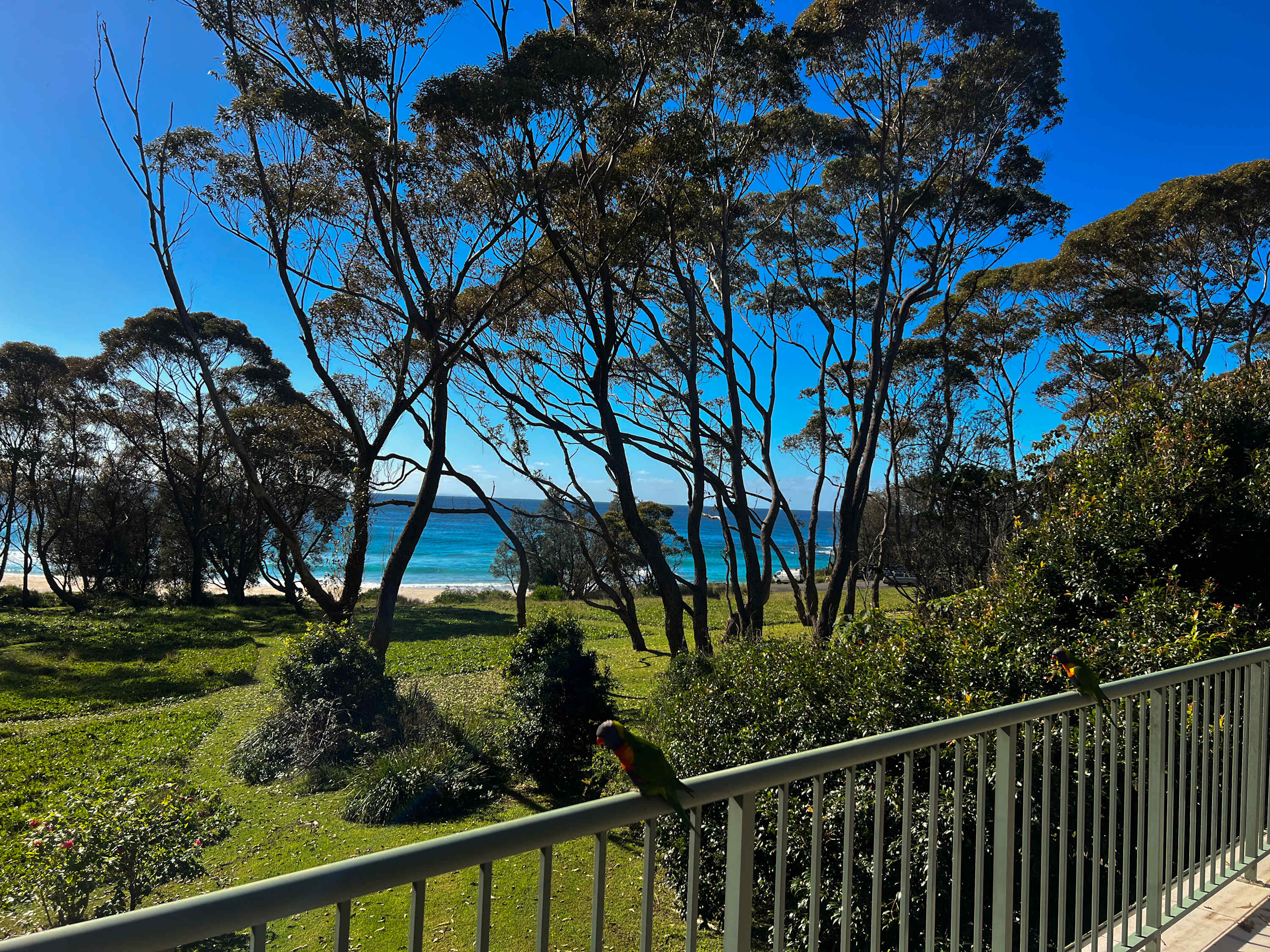 Ocean’s Edge at Bawley Beach