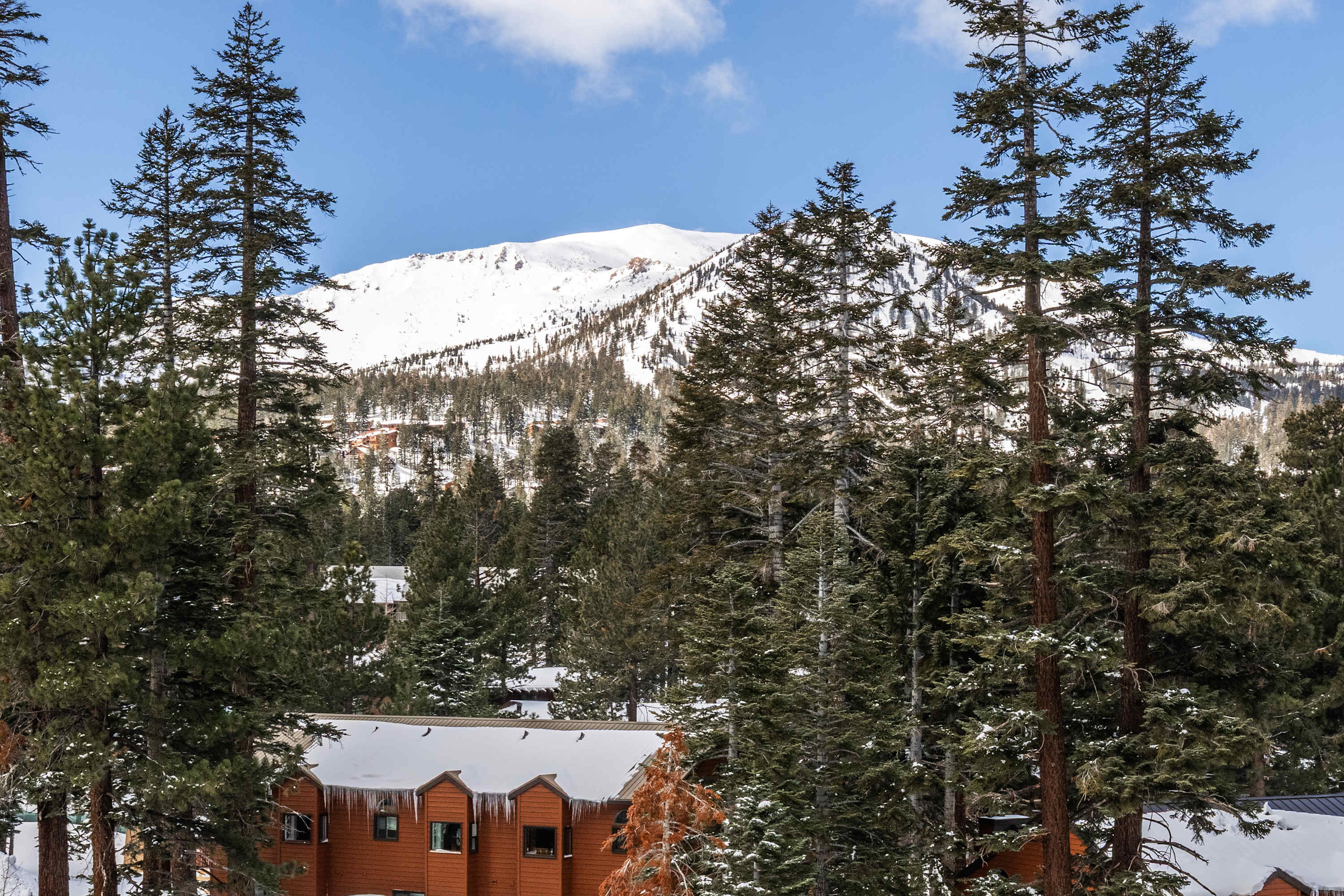 Hillside #508 - Cozy Studio w King Bed, Fireplace & Kitchenette 2
