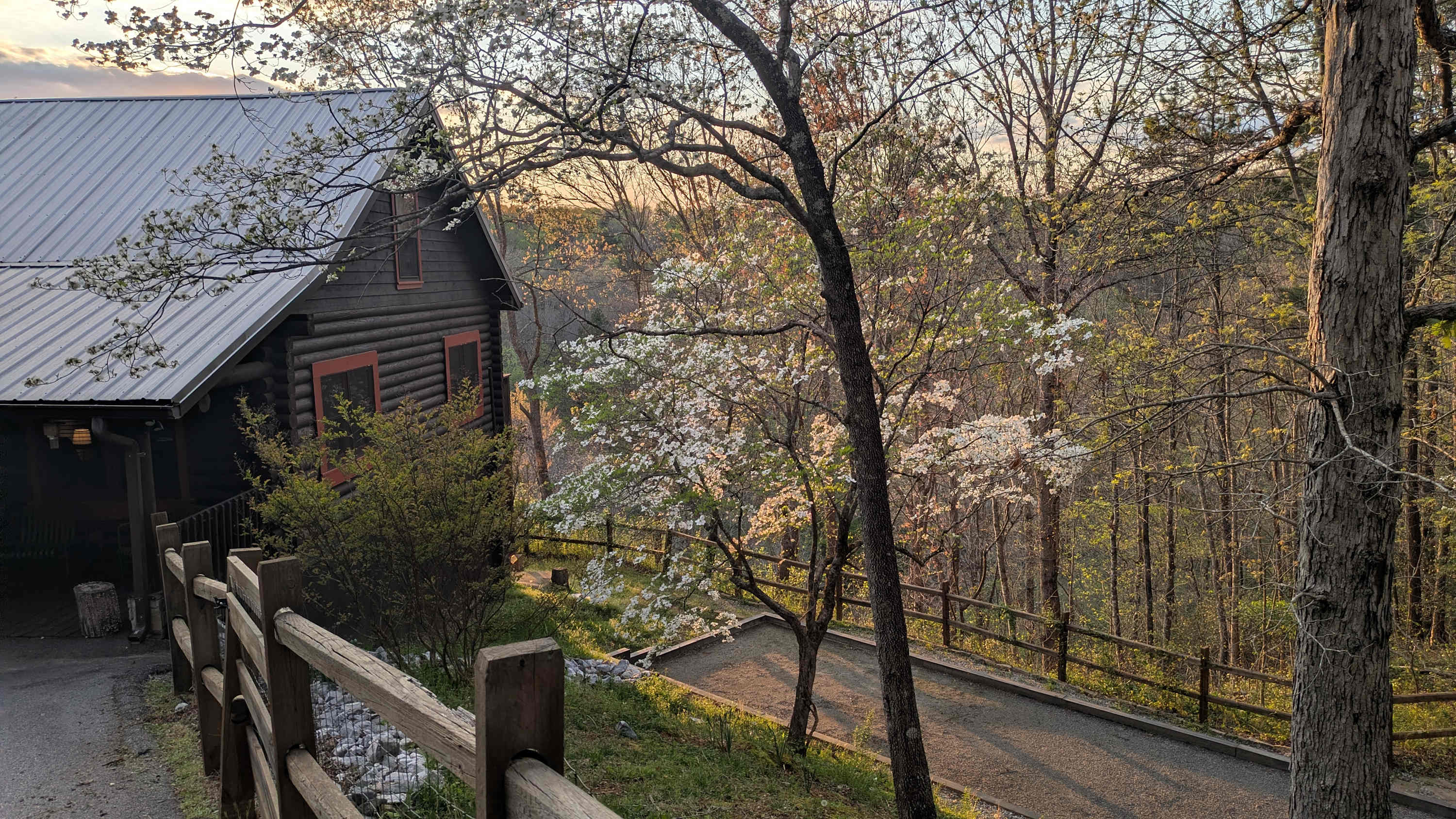 North Georgia mountains and forest