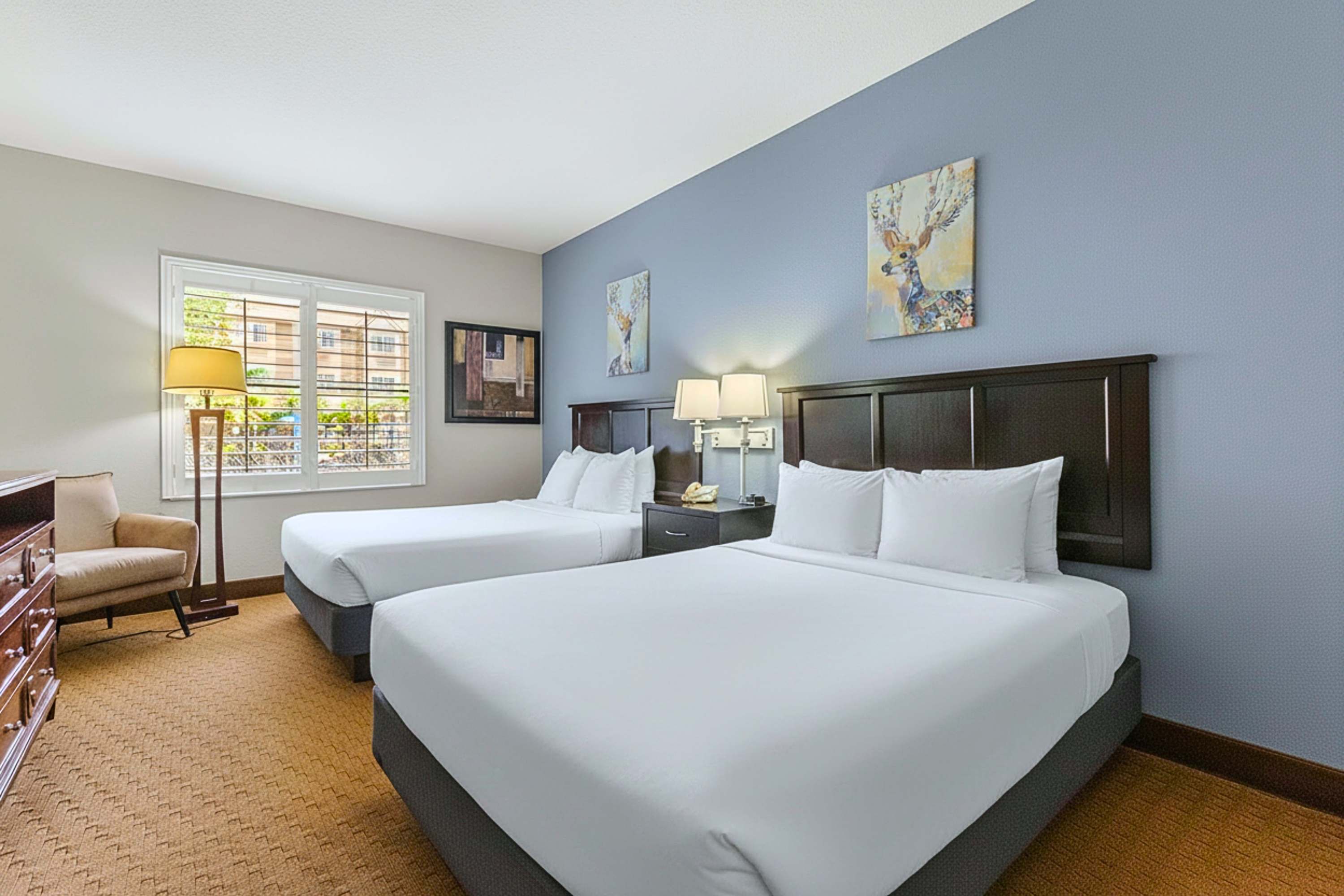 Sleep in style! Premium queen beds and a private couch area to kick back and watch TV