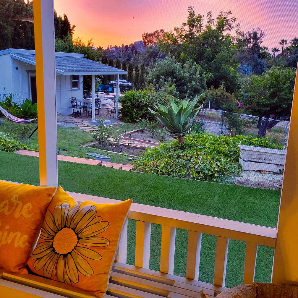 View from inside of enclosed sunroom patio