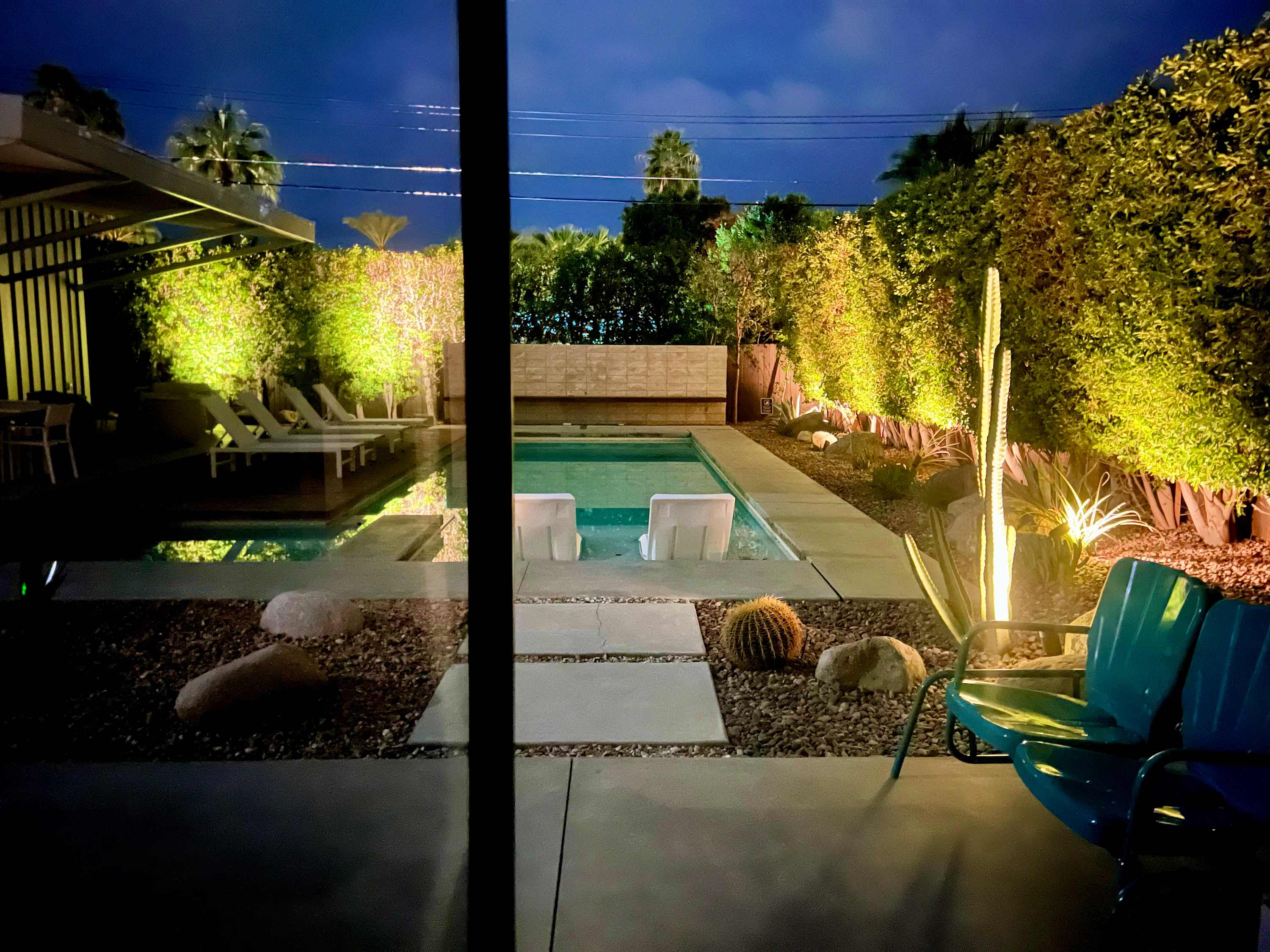 Night view of lit saltwater pool, spa seats, uplighted desert landscaping, and tall cactus — the backyard transforms after dark