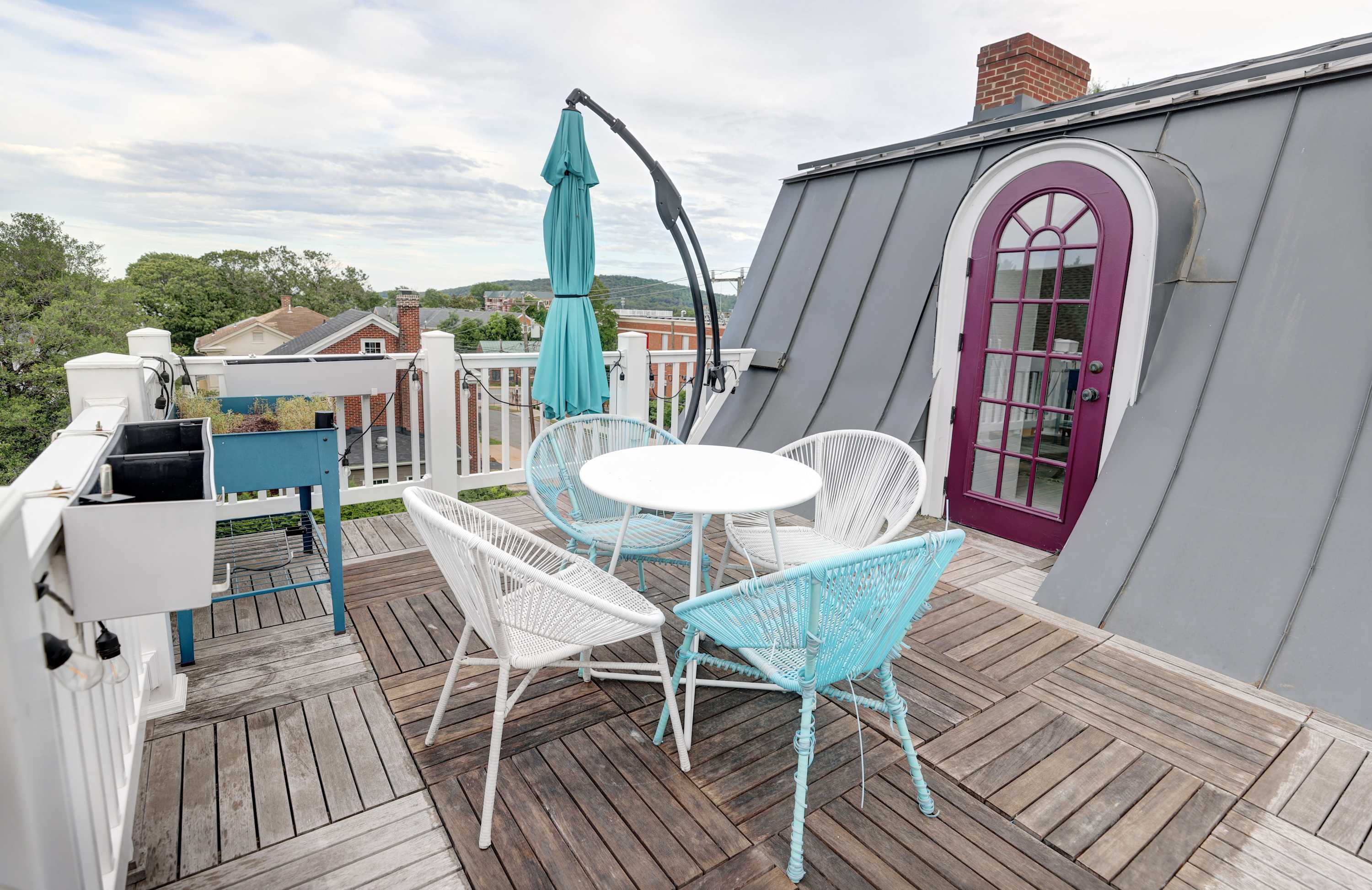 Rubin Marshall Manor - vacation rental in Charlottesville — photo 90 of 109