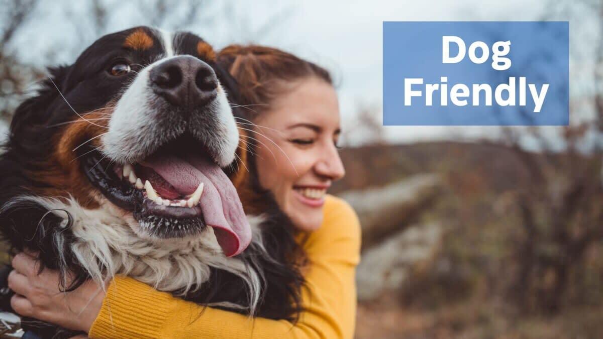 We love hosting families, friends and well-behaved dogs!  For allergy and maintenance reasons, we’re unfortunately unable to host cats.  For their safety and to respect the community & wildlife, dogs must remain on a leash whenever they are outside.