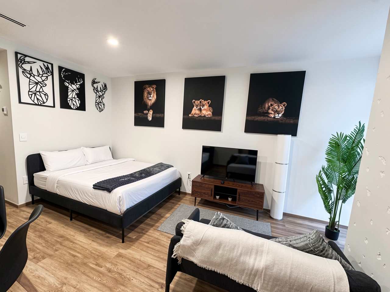 Serviced Studio in Mexico City