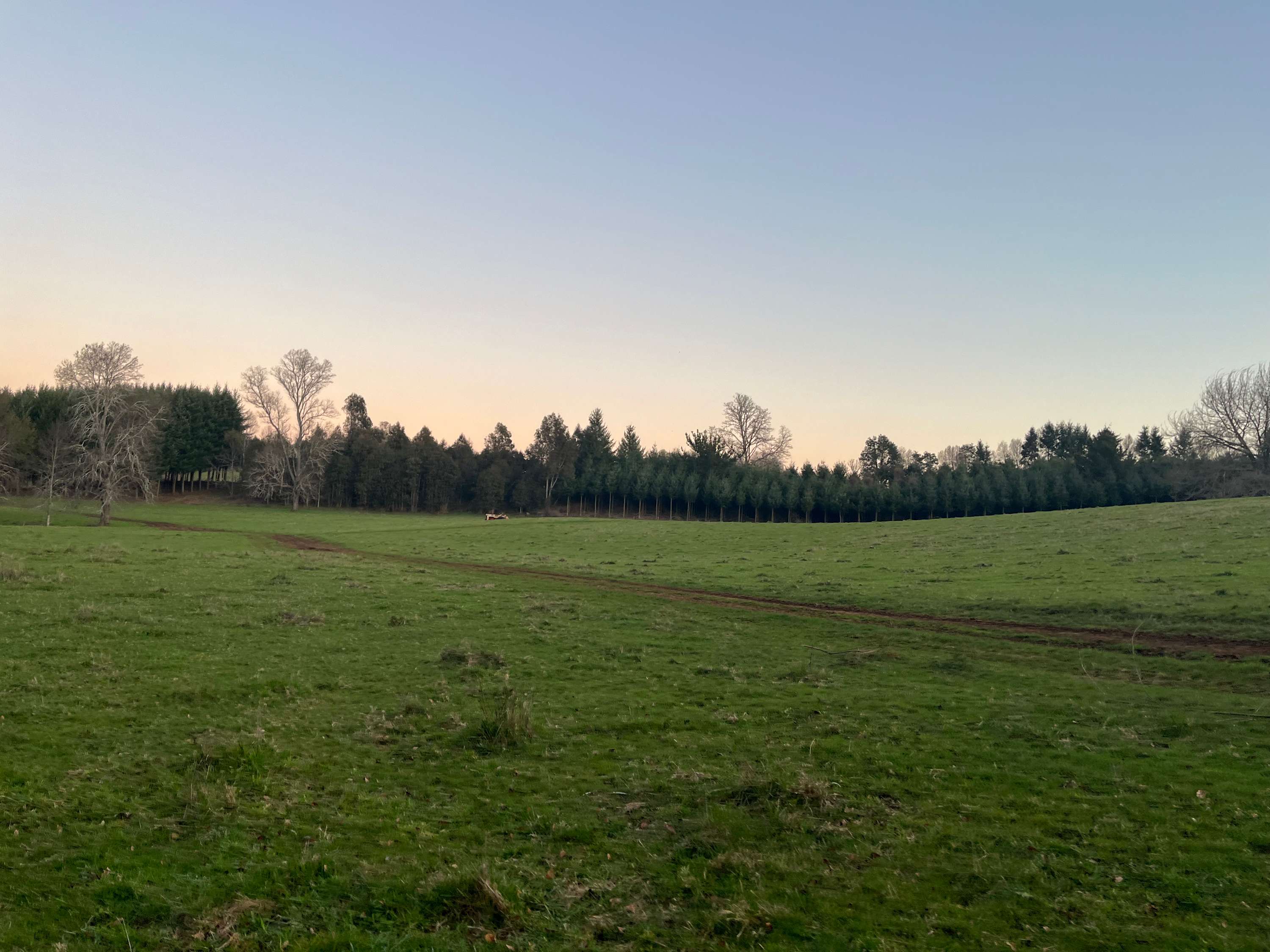 Cypress Cabin - BBQ, Hot Tub, Wifi  & Nature - Foto 31
