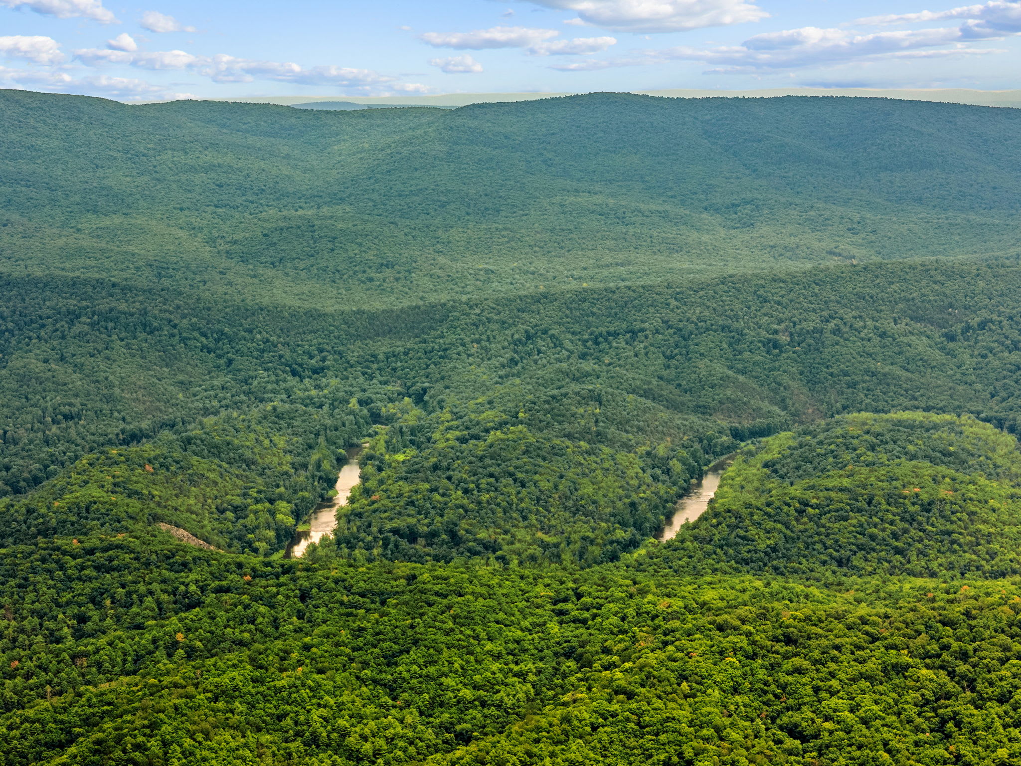 Paw Paw Mountain Lodge w/River Access & Fire Pit