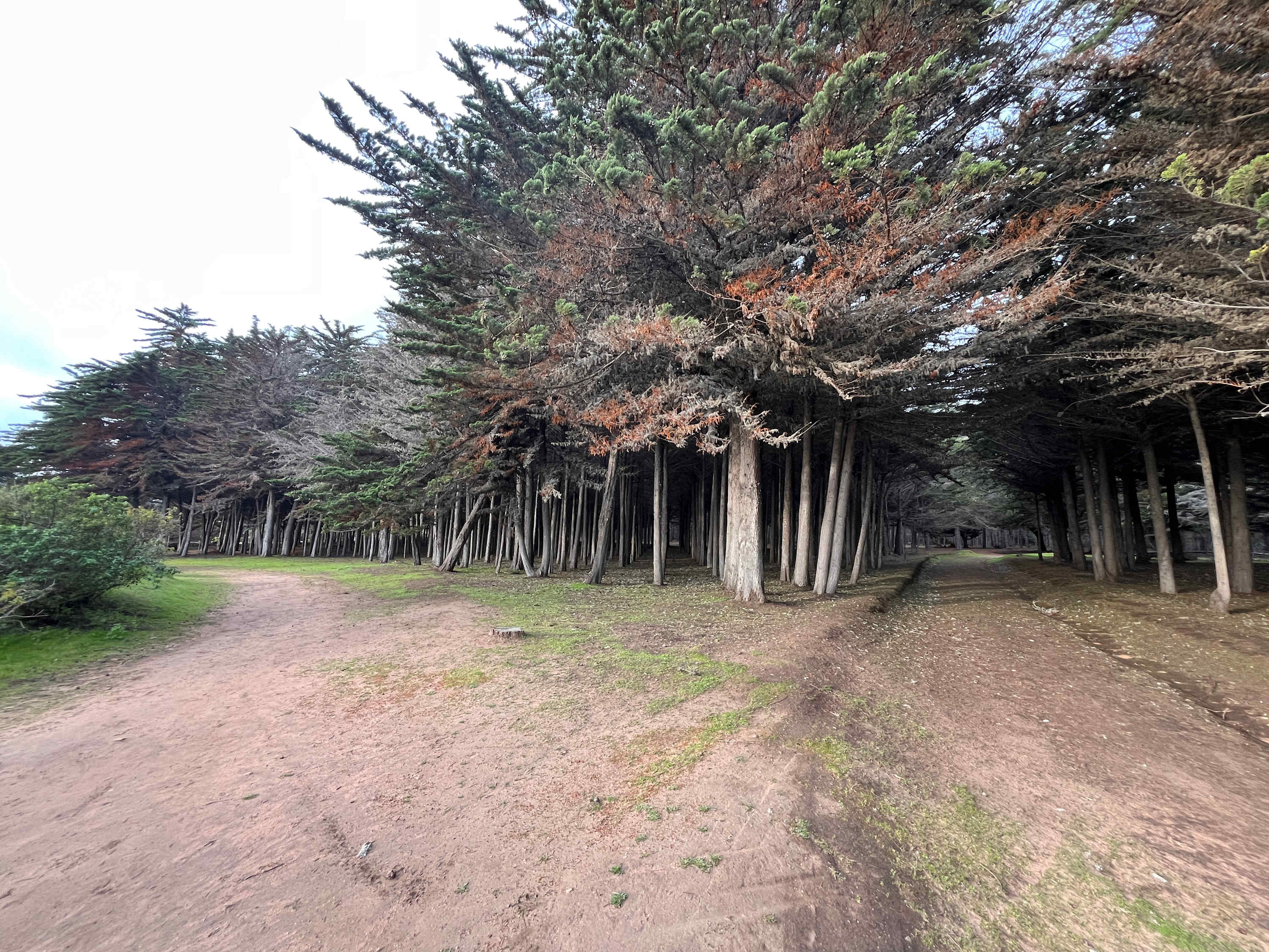 Nature Retreat Cabin Quintay: BBQ, Views & Parking