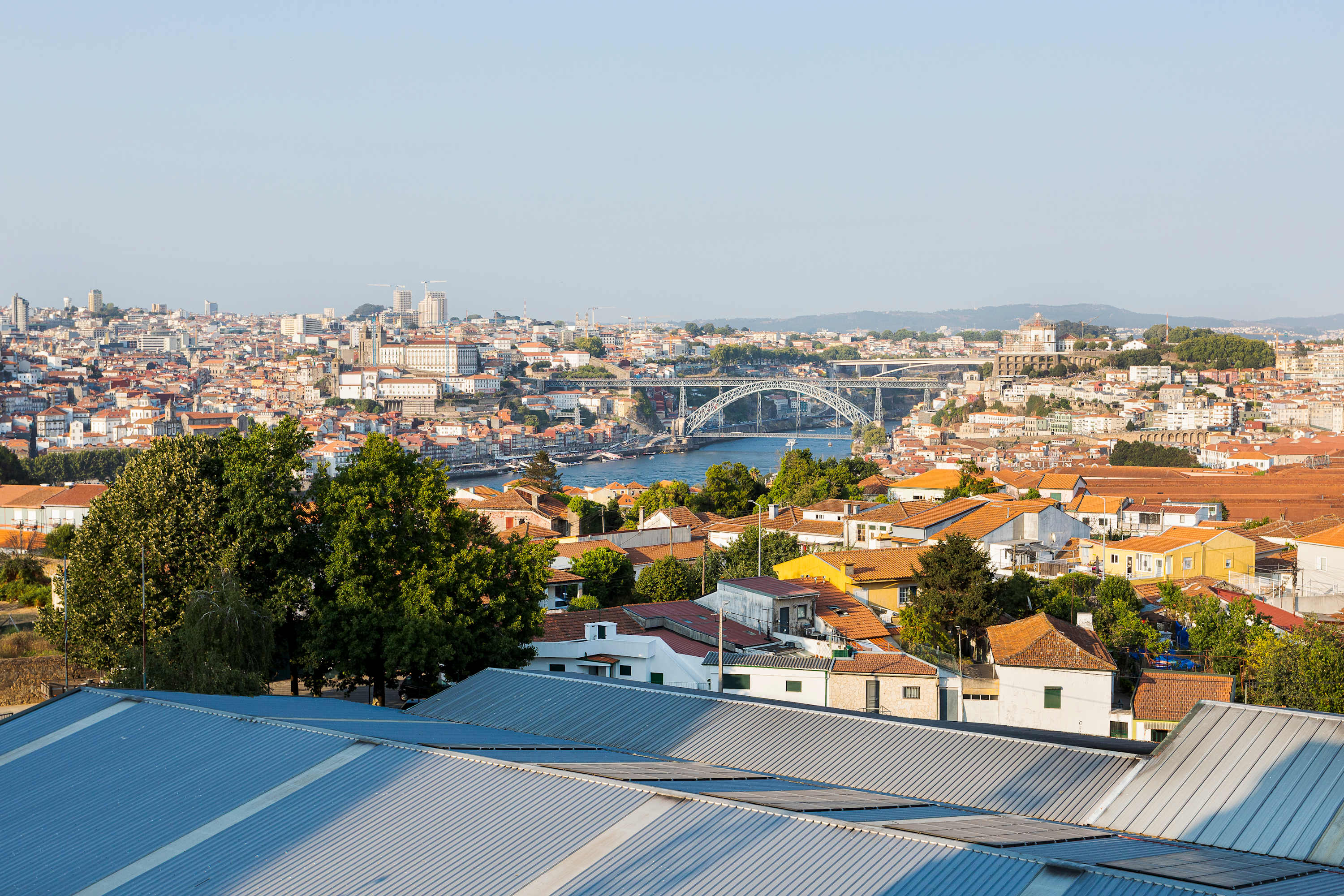 View 8