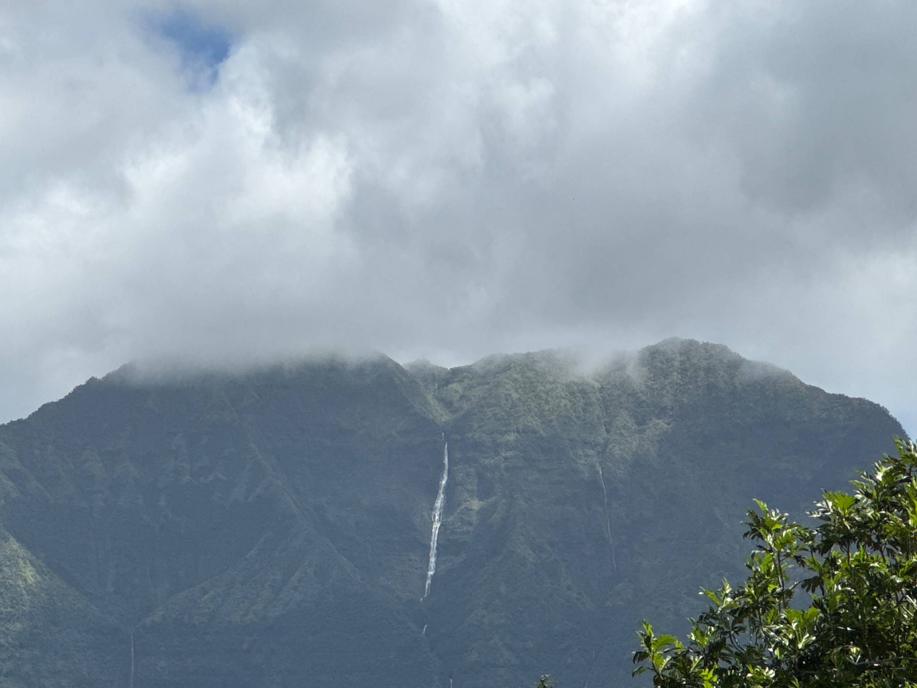 View 8