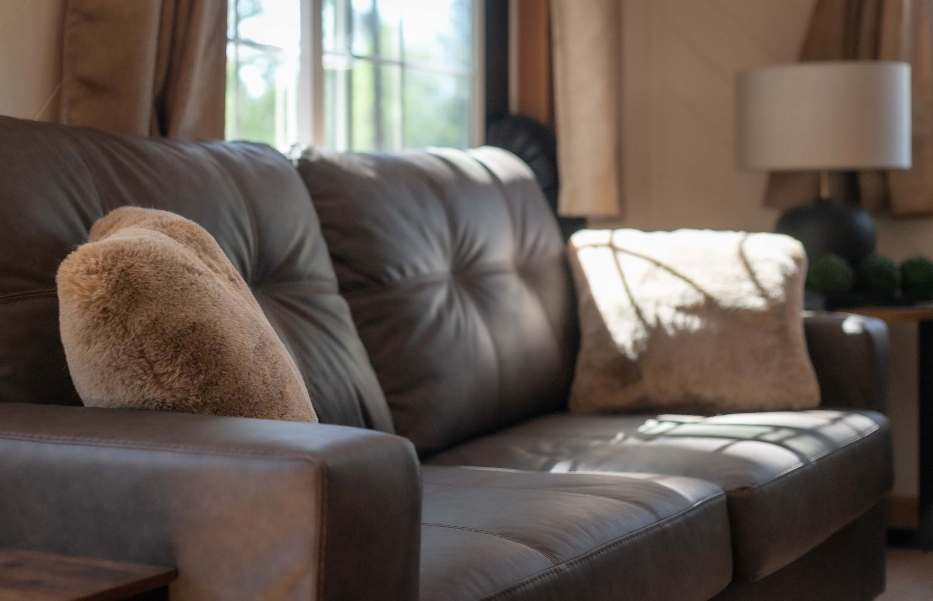 Cozy up on the sofa and enjoy your favorite shows and movies