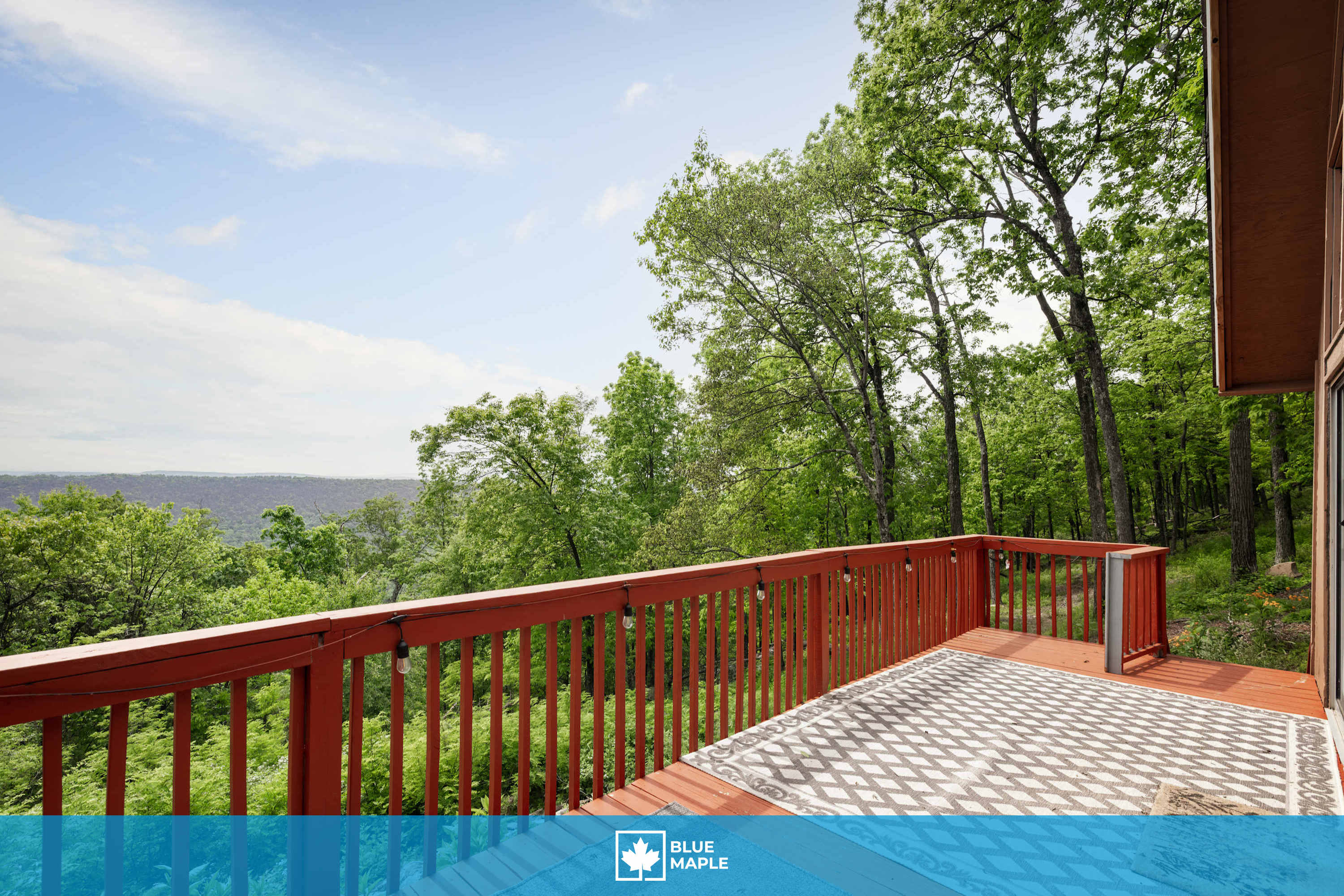 Stunning Mountain Views w/Deck & Grill on 5 Acres!